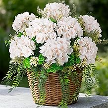 Artificial Hydrangea Flowers Silk White Fake Flower with Eucalyptus for Outdoor Decorations UV Resistant Realistic Faux Plants for Garden Porch Window Box Indoor Table Decor
