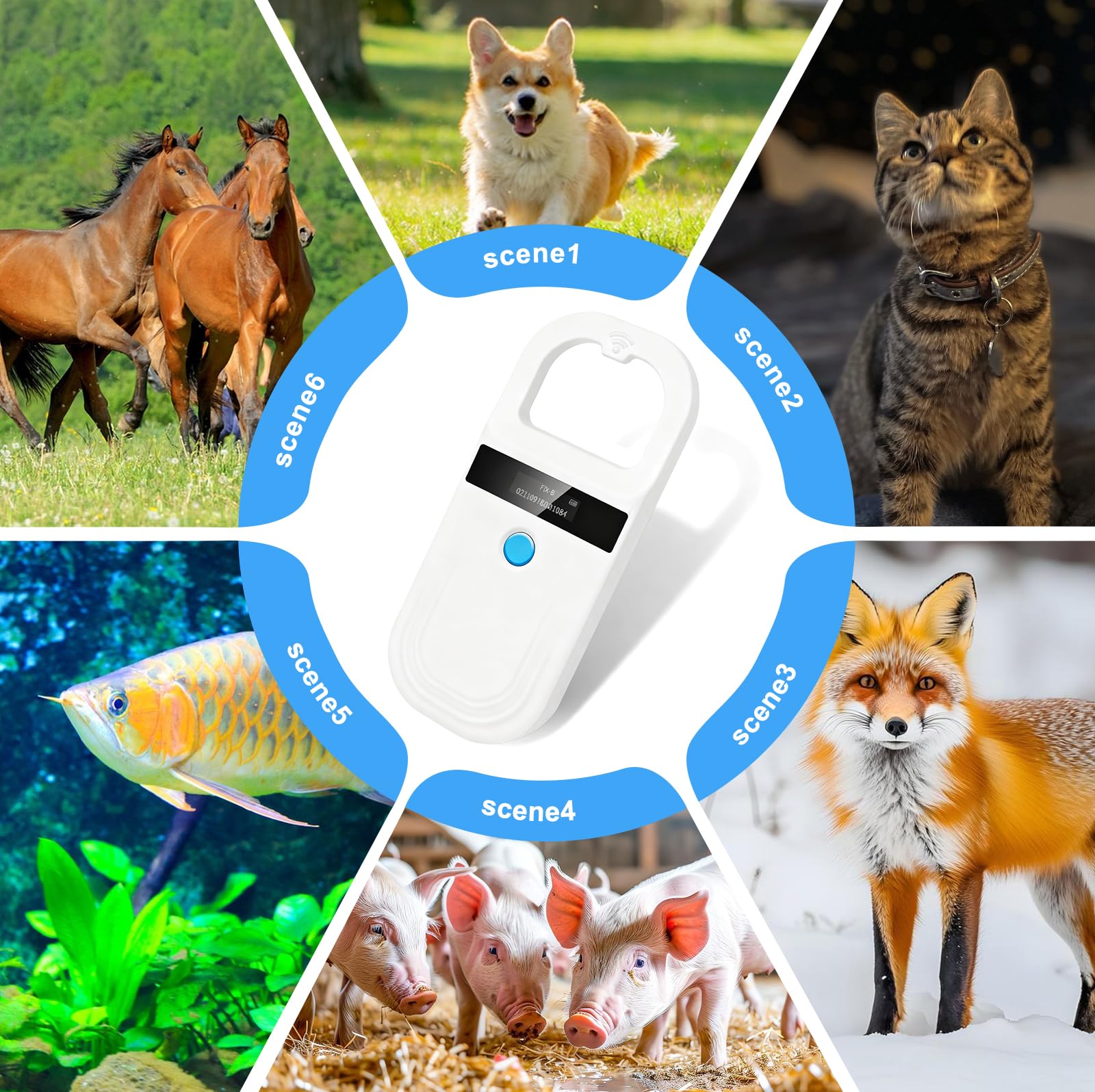 Lecteur De Puces, Lecteur D'identification D'animal, Rechargeable Rfid Emid Lecteur Puce Animaux, 134,2 Khz 125 Khz, Lecteur D'Étiquettes D'animaux Pour Animaux De Compagnie/Cochons/Chiens/Chats