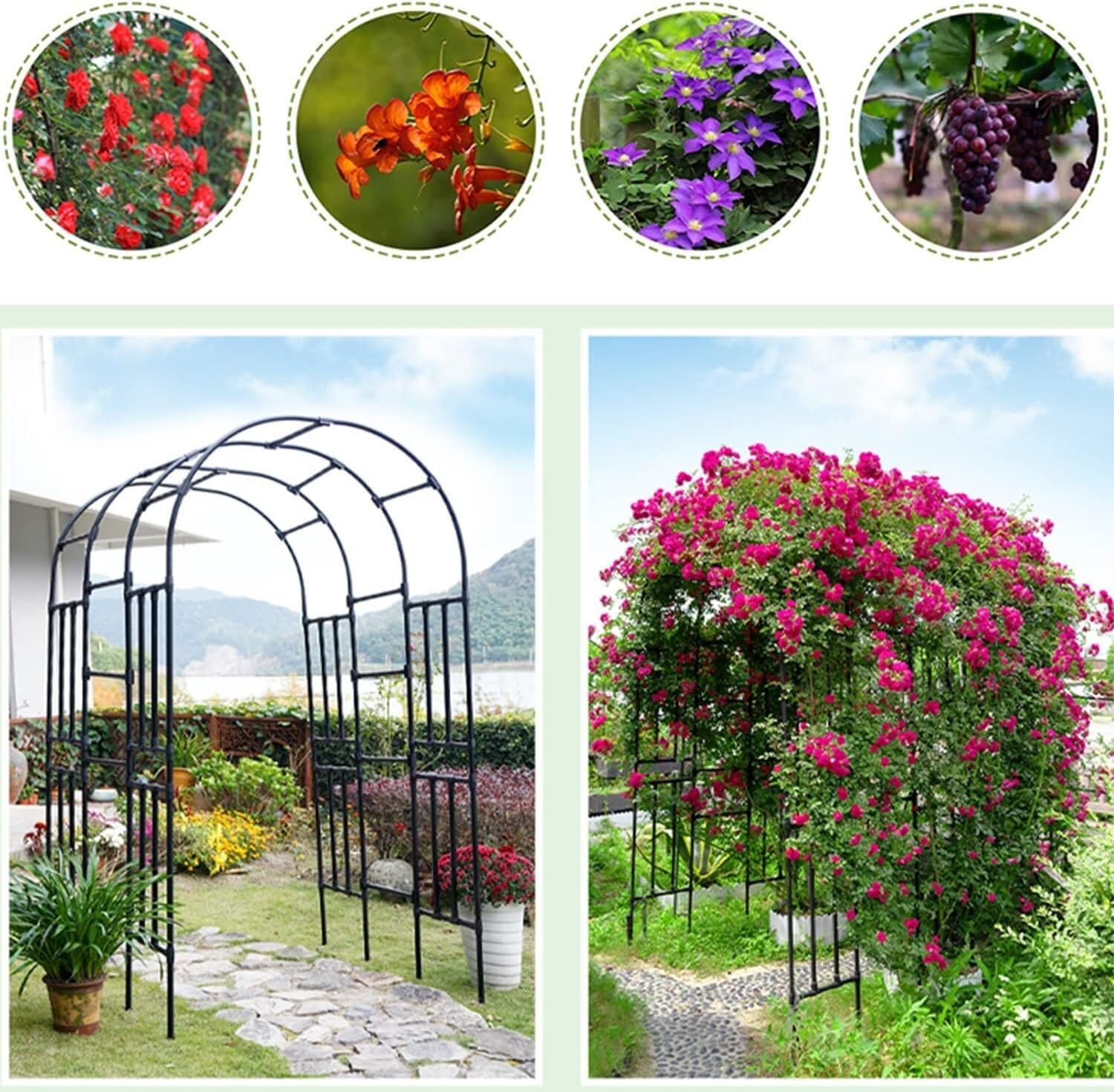 Archi nuziali in metallo, varie dimensioni e colori, per uso in giardino, ideale per piante rampicanti e composizioni floreali, arco nuziale (300 x 40 x 240 cm)