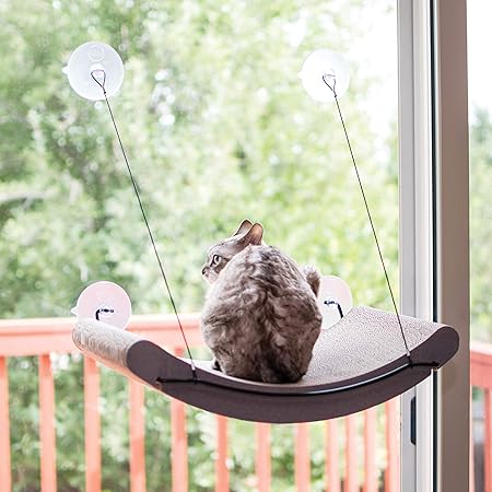 Amazon K H Kitty Still Cradle Ez Ms 爪とぎ ベッド 窓に貼り付け 外を眺めながら爪とぎ ベージュ 1個 X 1 K H 爪とぎ 通販