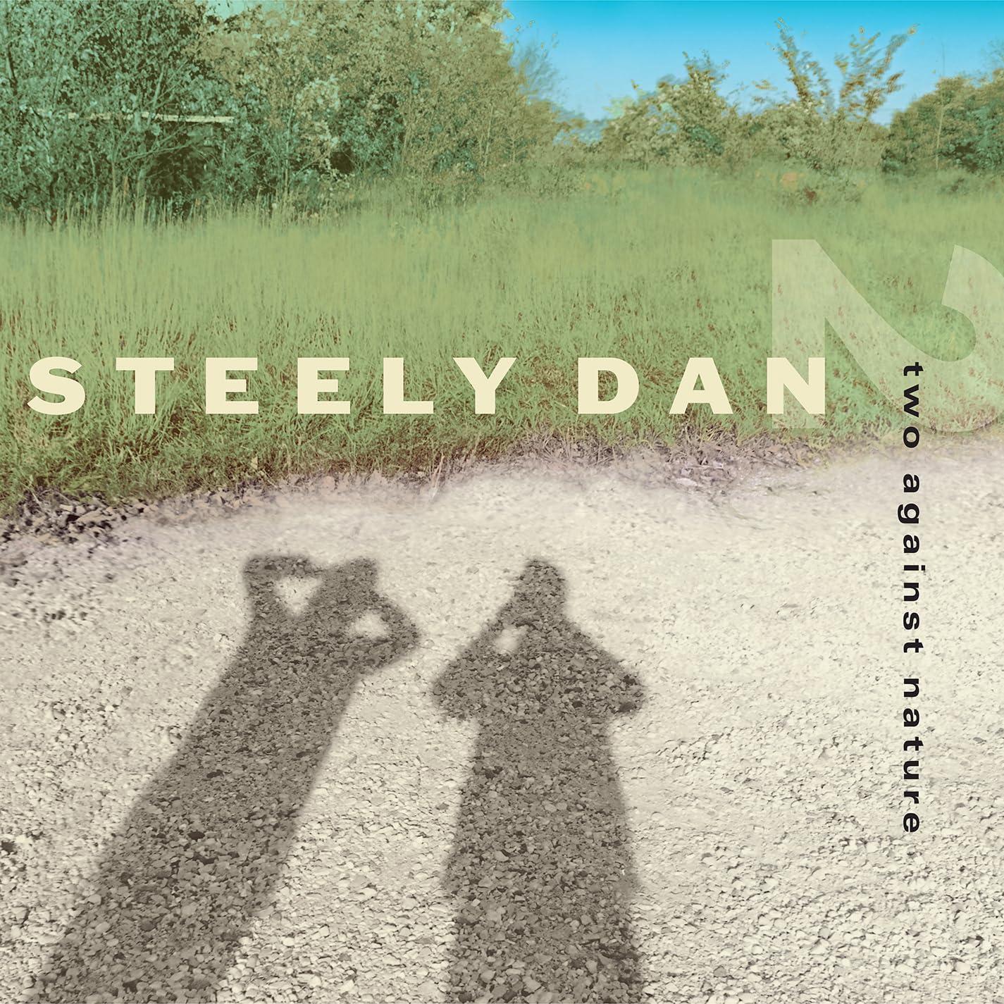 STEELY DAN - Two Against Nature - Vinyl (180 gram clear vinyl 2xLP)