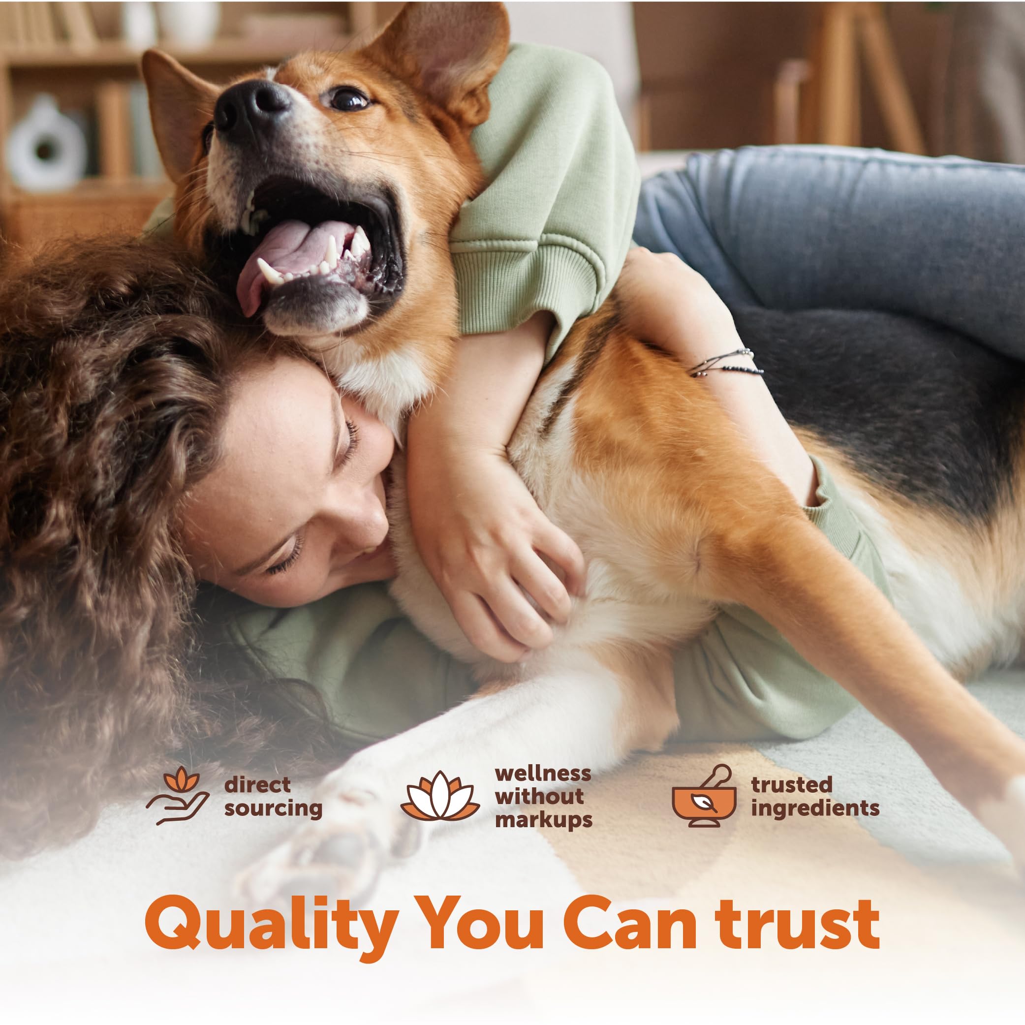 Micro Ingredients 25-in-1 Dog Multivitamin, 240 Soft Chews | Daily Essential Dog Vitamins and Supplements for Immune, Skin, Coat, Joints & Digestion Health* | Non-GMO, Chicken-Flavored — Amazon image 5