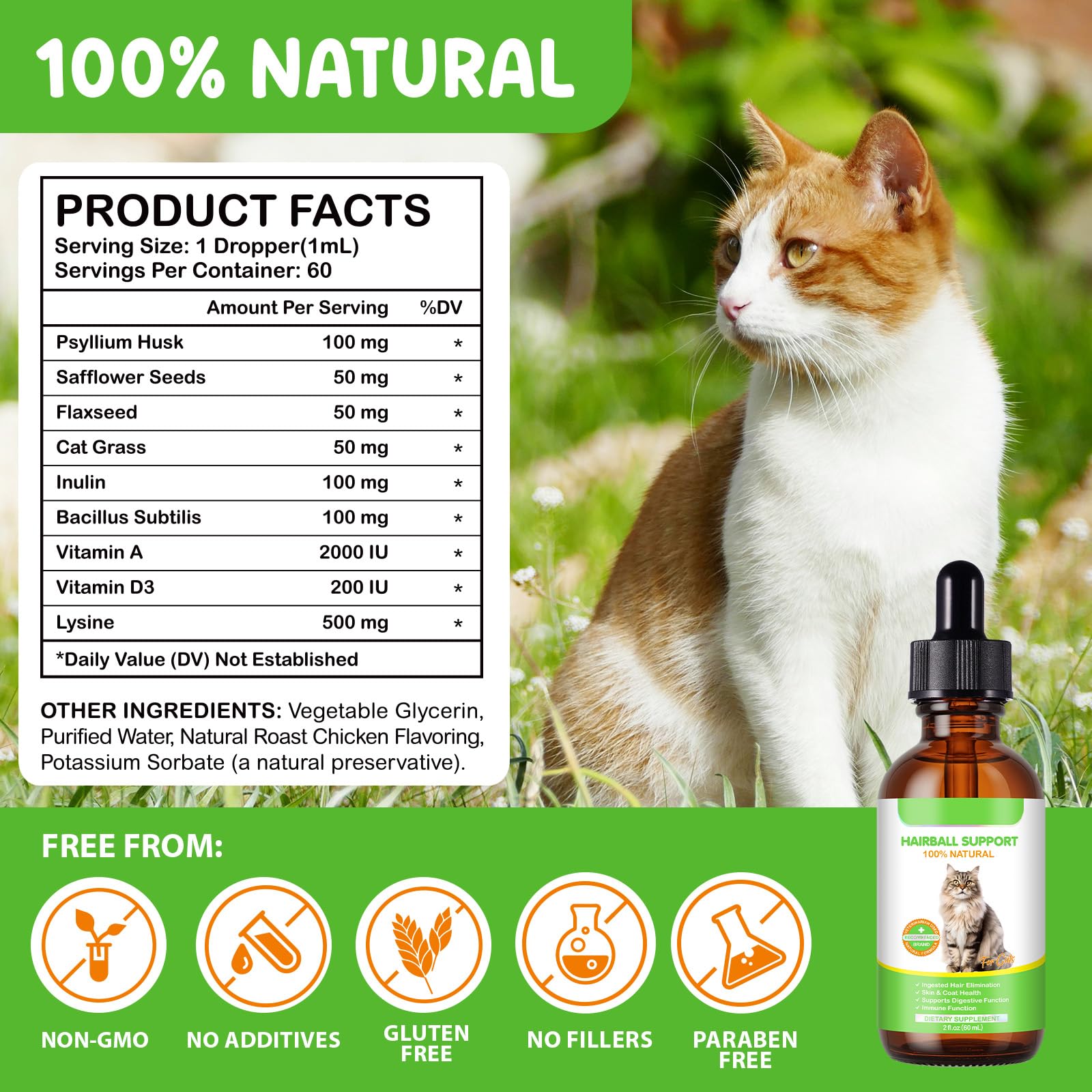 Hairball Trattamento Per Gatti E Gattini, Cat Hairball Remedy, Hairball Support Gocce Sollievo Con Psyllium Husk, Vitamine Per Gatti Lunghi E Brevi Peli, Nutre Capelli E Riduce La Secchezza 60Ml