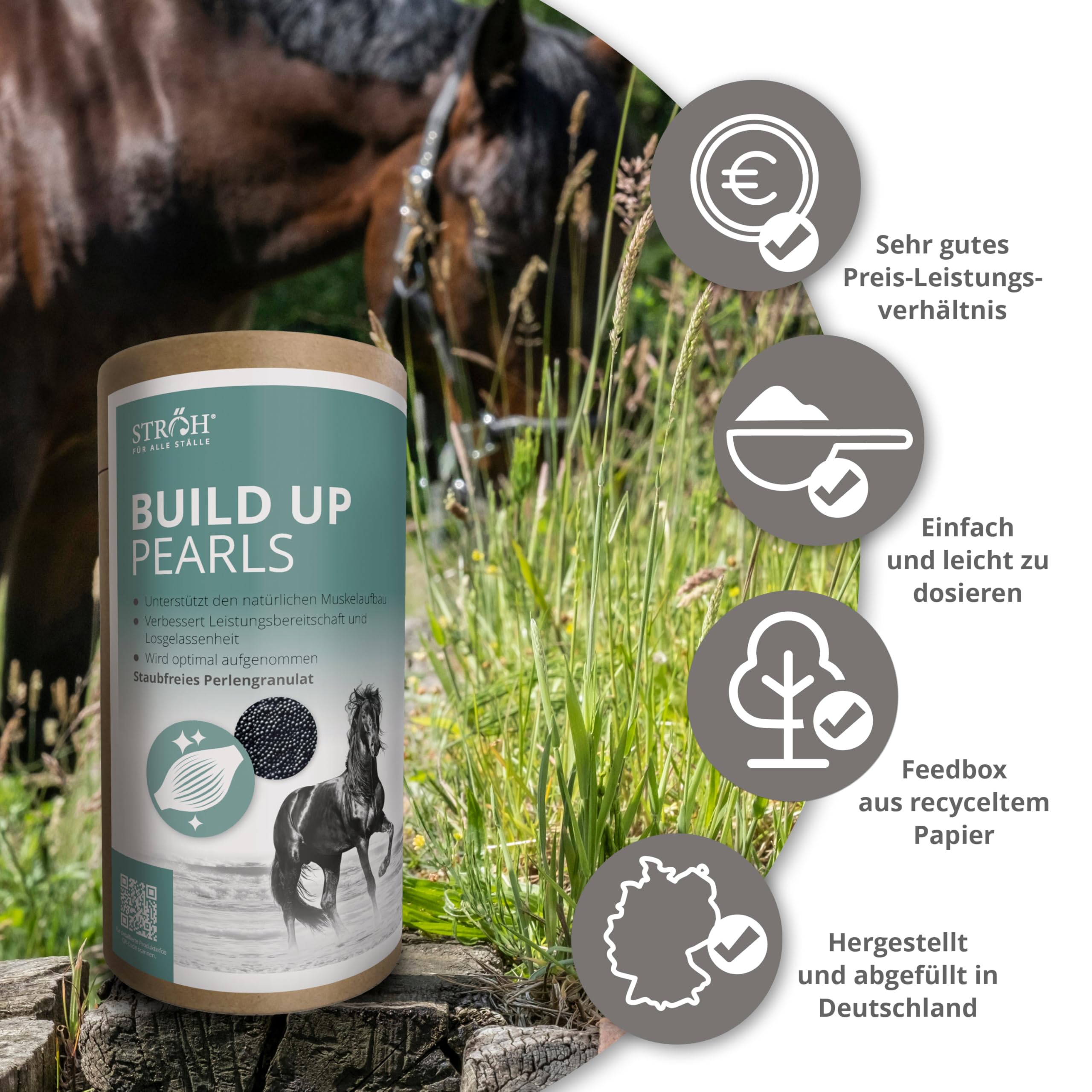 STRÖH Build Up Pearls für Pferde (1,4 kg Feedbox Dose) • Für Muskelaufbau & Kondition • Aminosäuren-Komplex mit Vitaminen • Unterstützt Regeneration & Leistung • Für Sport- & Freizeitpferde
