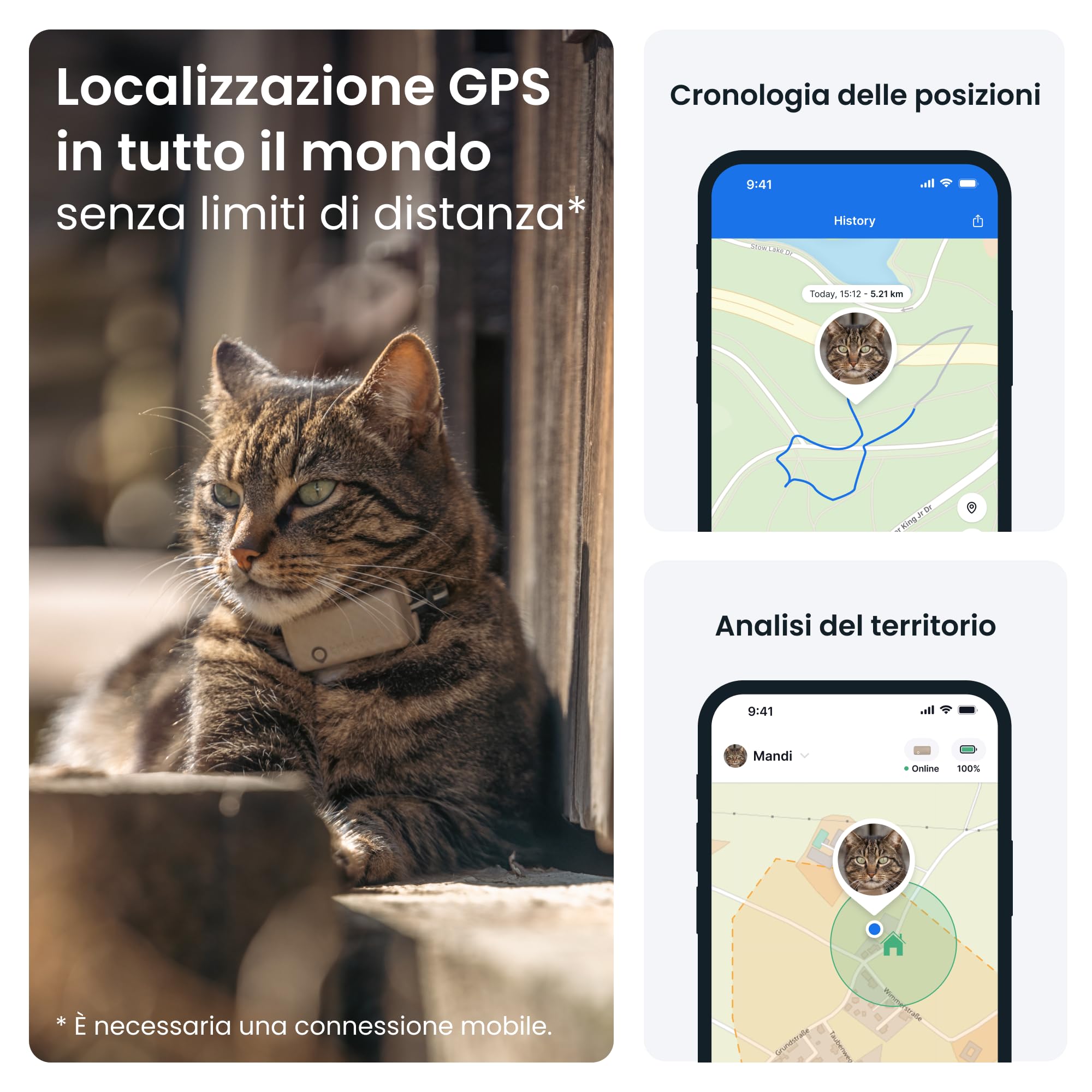 Tractive - GPS gatto modello Mini | N. 1 sul mercato | Localizzazione in tempo reale | Cronologia delle posizioni | Monitoraggio dell'attività | Collare incluso
