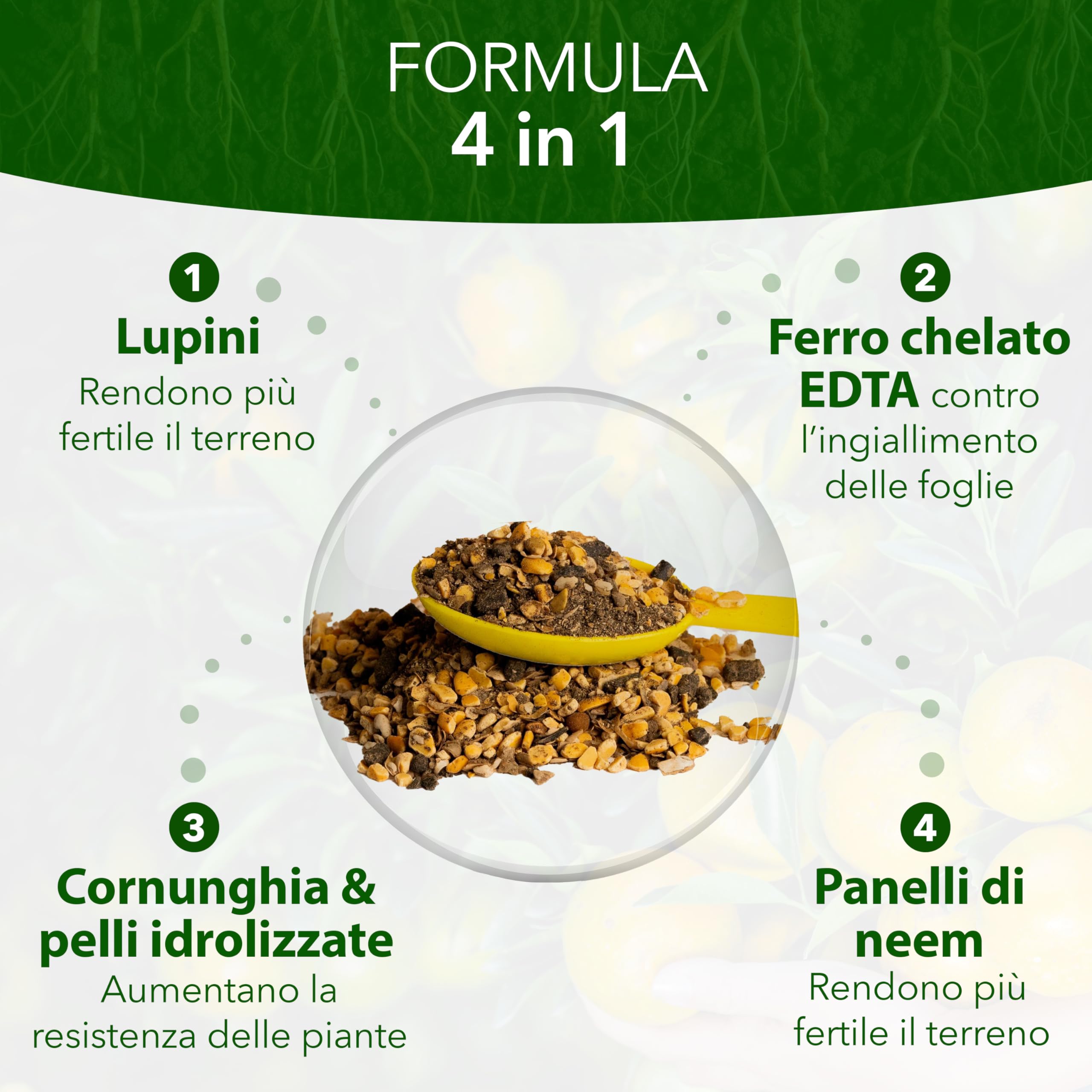 SAVINI VIVAI engrais aux agrumes Super Ground Lupins Engrais organique 4 en 1 pour une production abondante comme les citrons, mandarines, oranges en pot et entièrement moulues, 800g