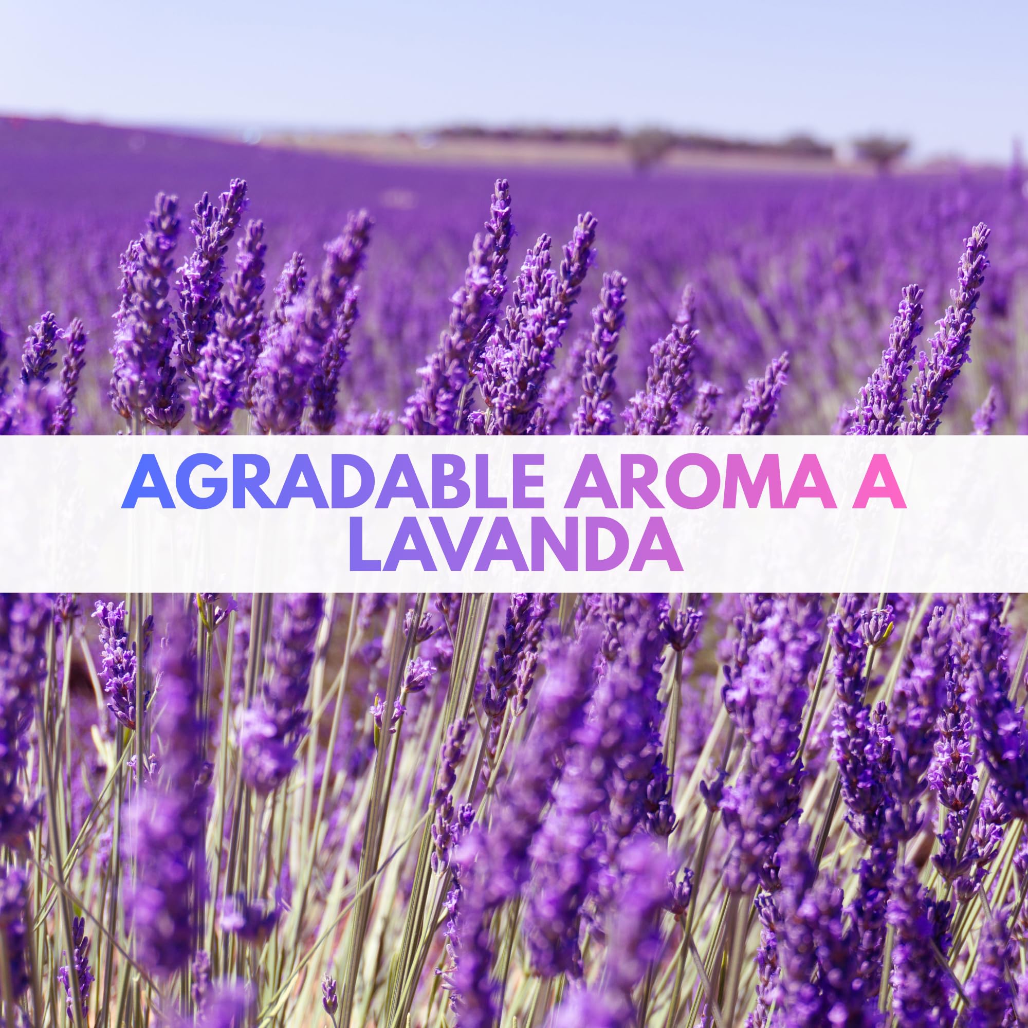 Bioetanol 99,9% Origen Vegetal | Con Aroma a Lavanda | Con Cánula | Combustible Limpio | Sin Humo | Ecológico y Renovable | Apto para Quemadores y Estufas de Bioetanol (5 litros)