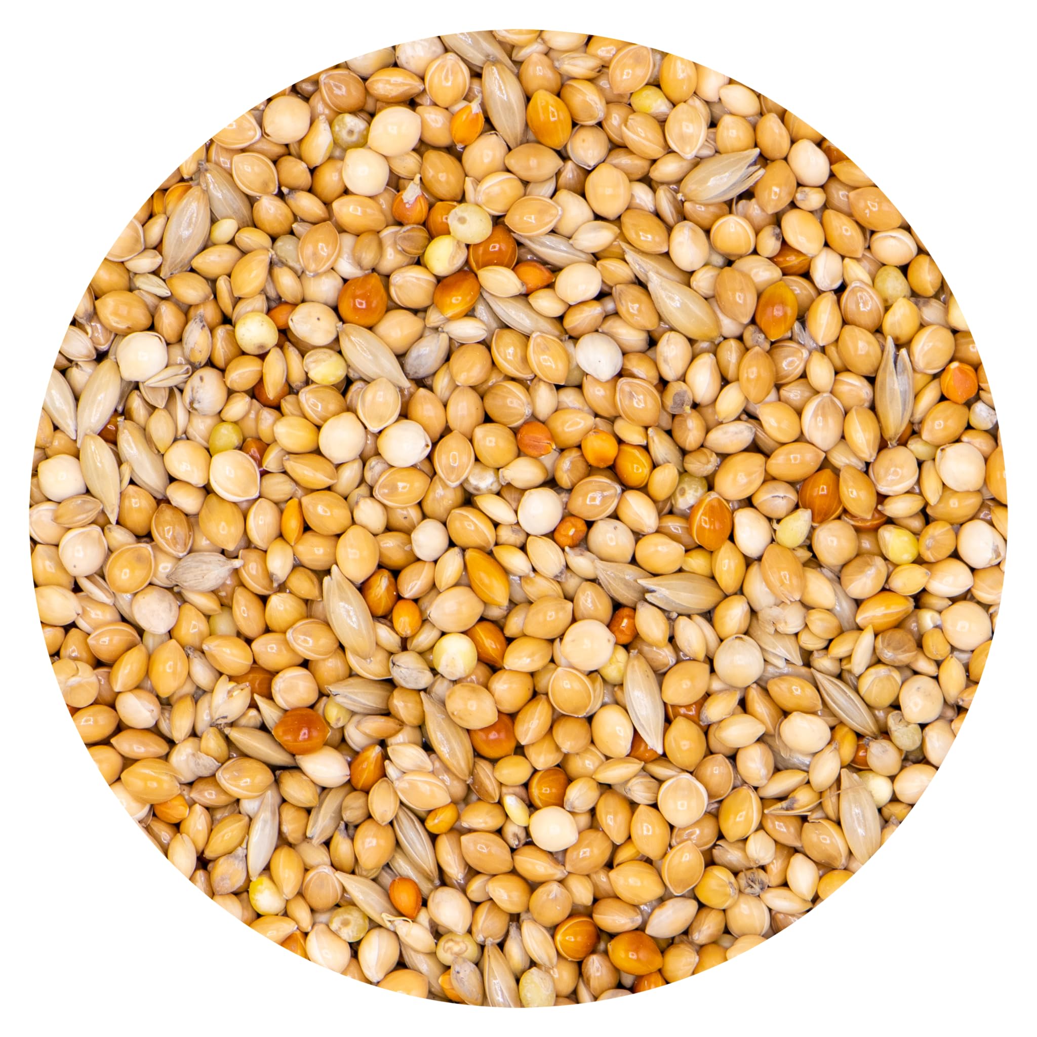 Miscela Cocorite-Pappagalini 20kg, Mangime per Uccelli, Semi Piccoli