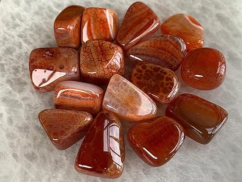 Miniatura 401 de GAF TREASURES Piedras pulidas de ojo de tigre de 1/2 libra, piedra preciosa natural pulida, cristales curativos de ojo de tigre (ojo de tigre)