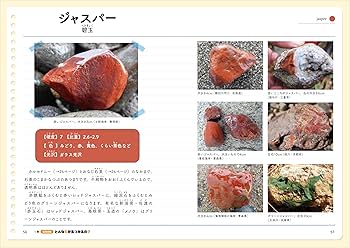 こどもが探せる川原や海辺のきれいな石の図鑑 改訂版 | 柴山元彦, 井上