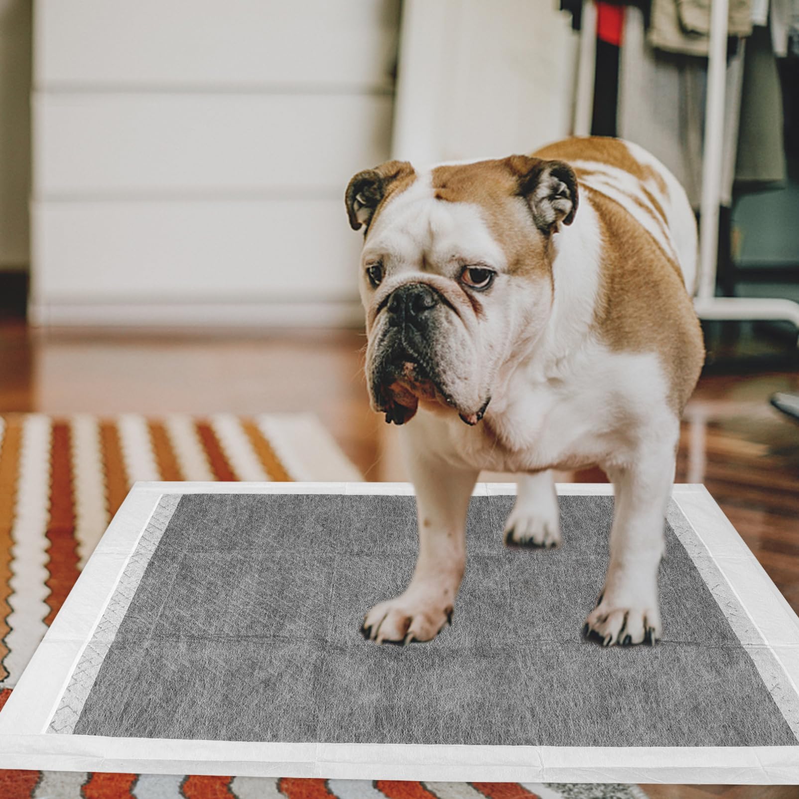 Happyyami 100piezas Alfombrillas Desechables para Entrenamiento De Absorbentes y Transpirables para y Gatos Interiores y Exteriores
