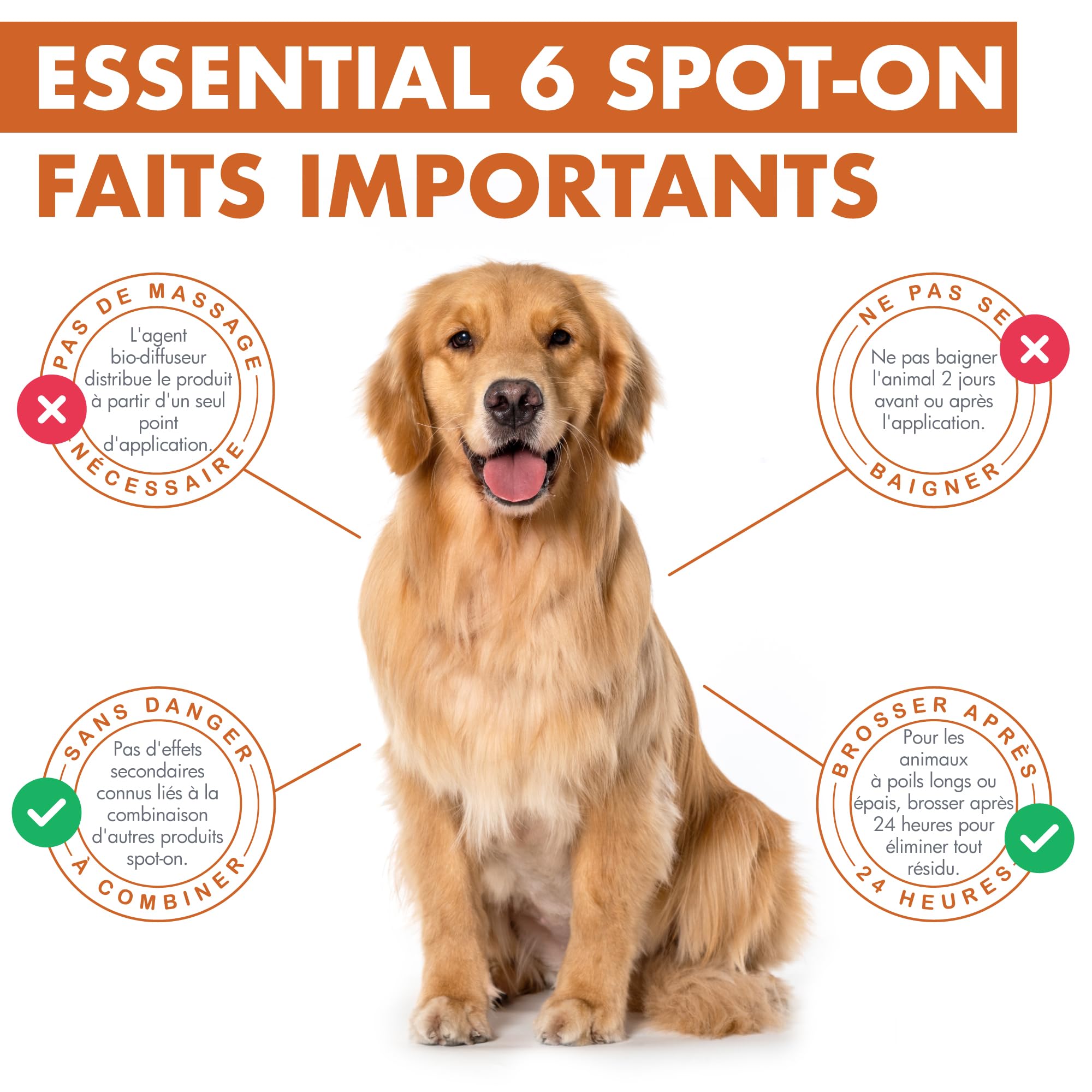 Dermoscent Essential 6 Spot-on pour Chien 20–40 kg | Soin Cutané Multifonctionnel Naturel | 4 Pipettes x 2,4 ML