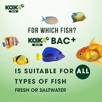 KOIKA BAC+ Aquarium Probiotics for Fish & Shrimp High-Density Beneficial Bacteria, Immunity Boosting, Disease Resistance & Digestive System Support (105ml)