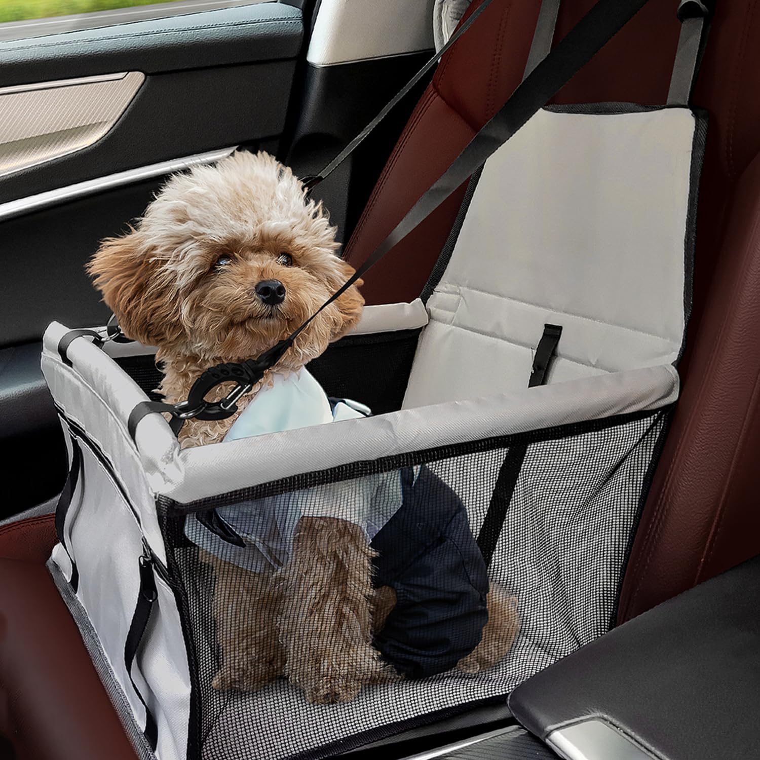 Transportin Perro Transportín Impermeable Para Perros Medianos