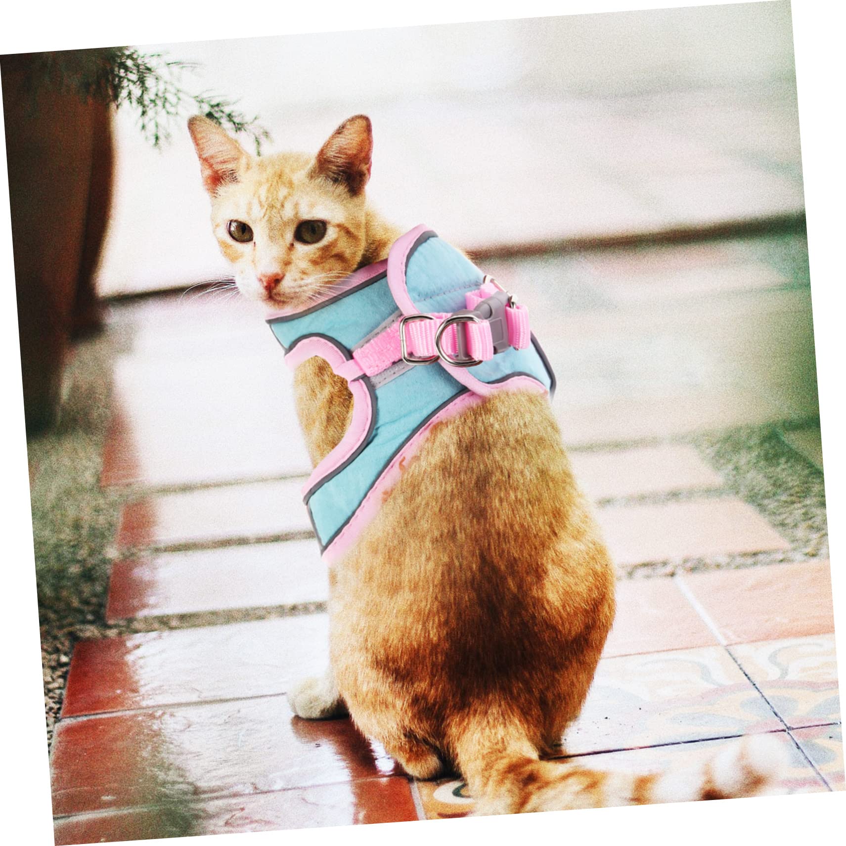 Mipcase 5ensembles Réfléchissant pour Chat avec Laisse pour Promenade Extérieure Sécurité Et Confort pour Votre Animal Design Léger Et De Type Gilet pour Chats Et Chiens