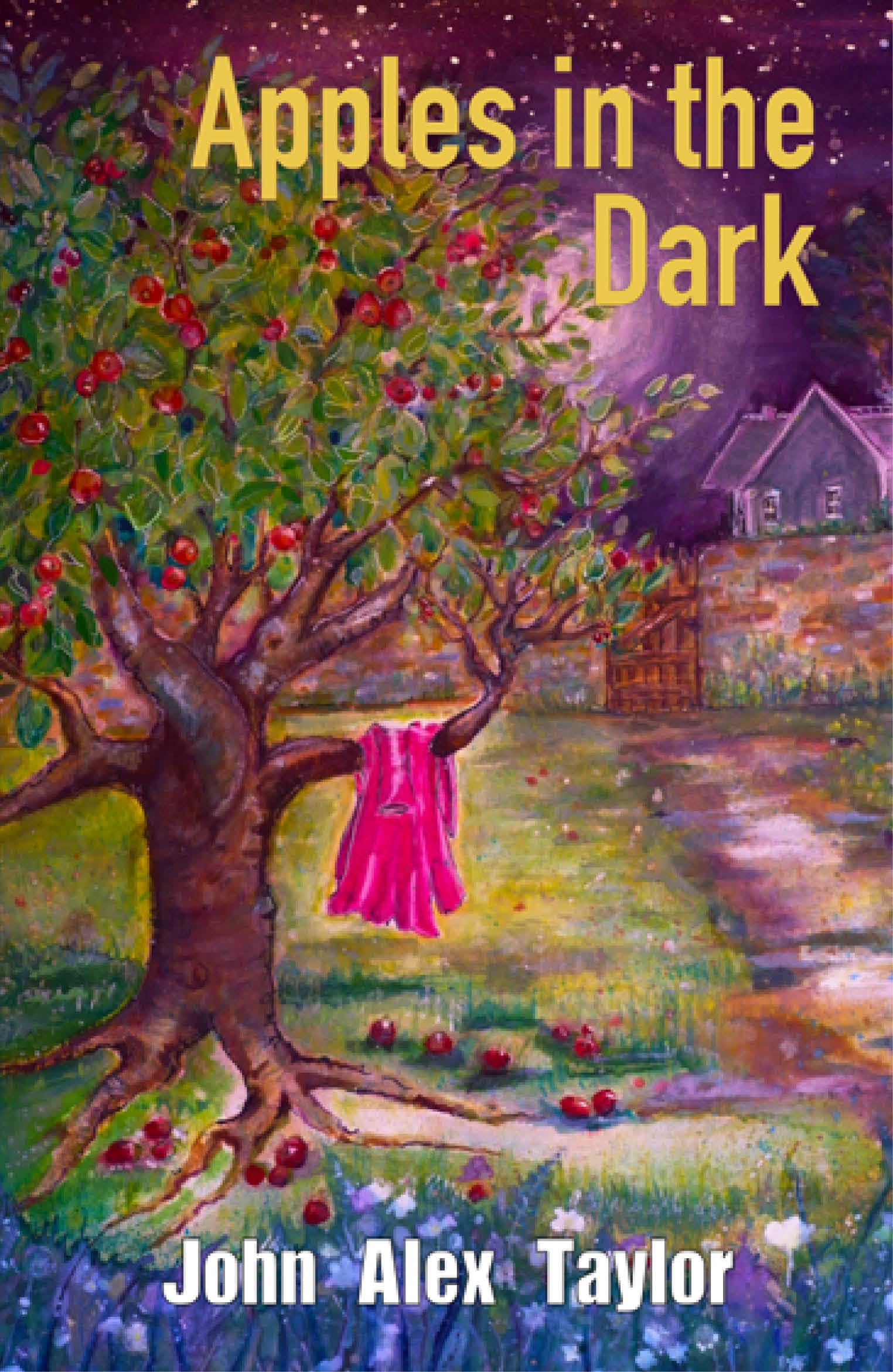 Apples In The Dark - 9781805144342