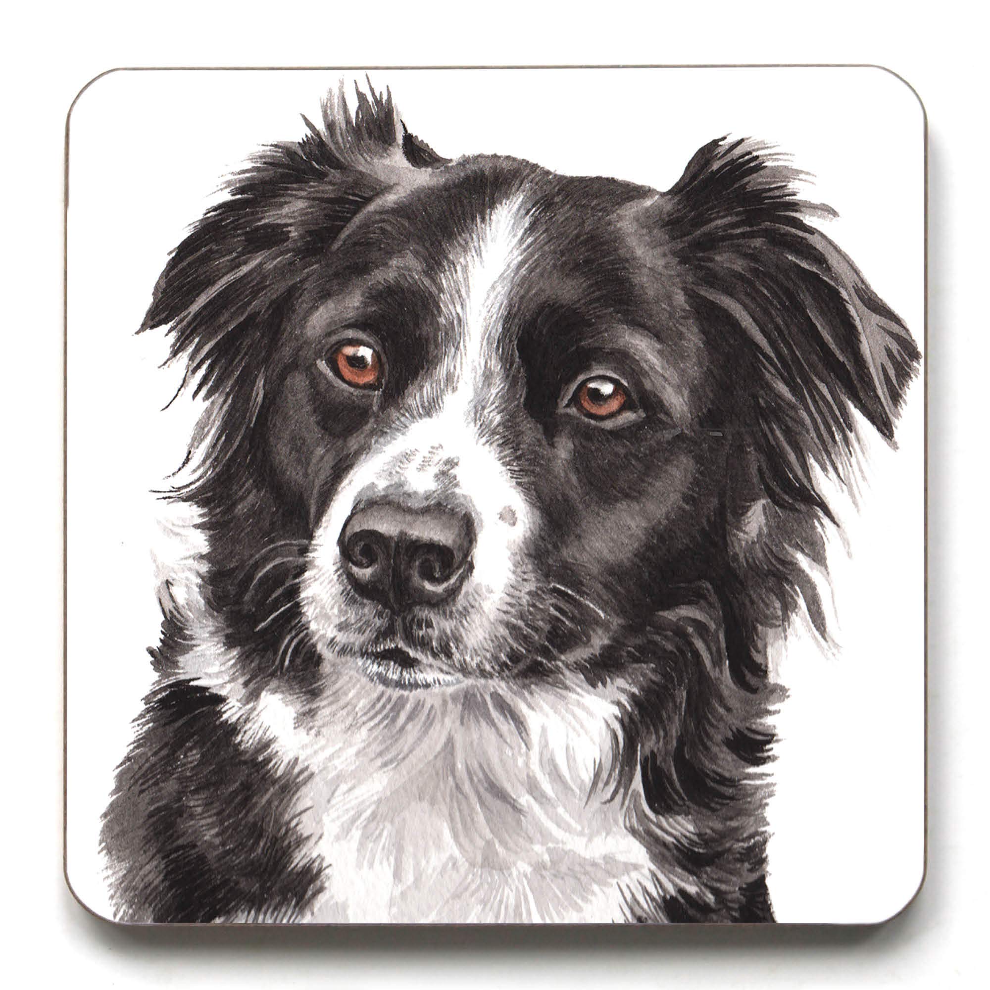 Border Collie Coaster (CST-154)
