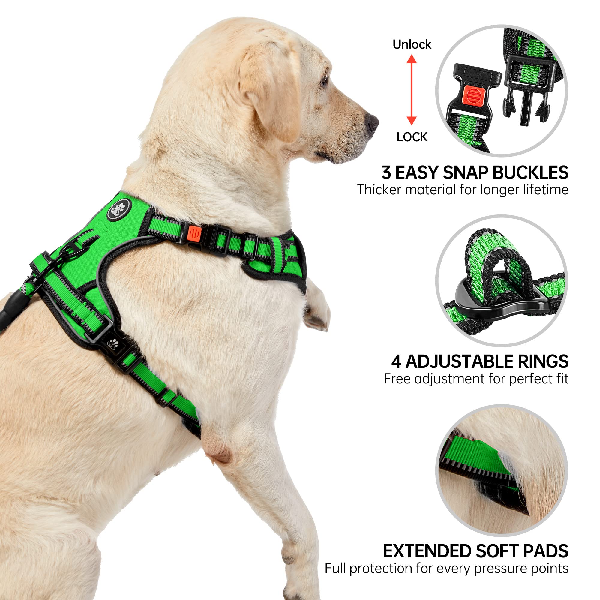 NESTROAD Green Dog Harness, No Pull Puppy Dog Car Vest Harness and Lead Set - Image 4