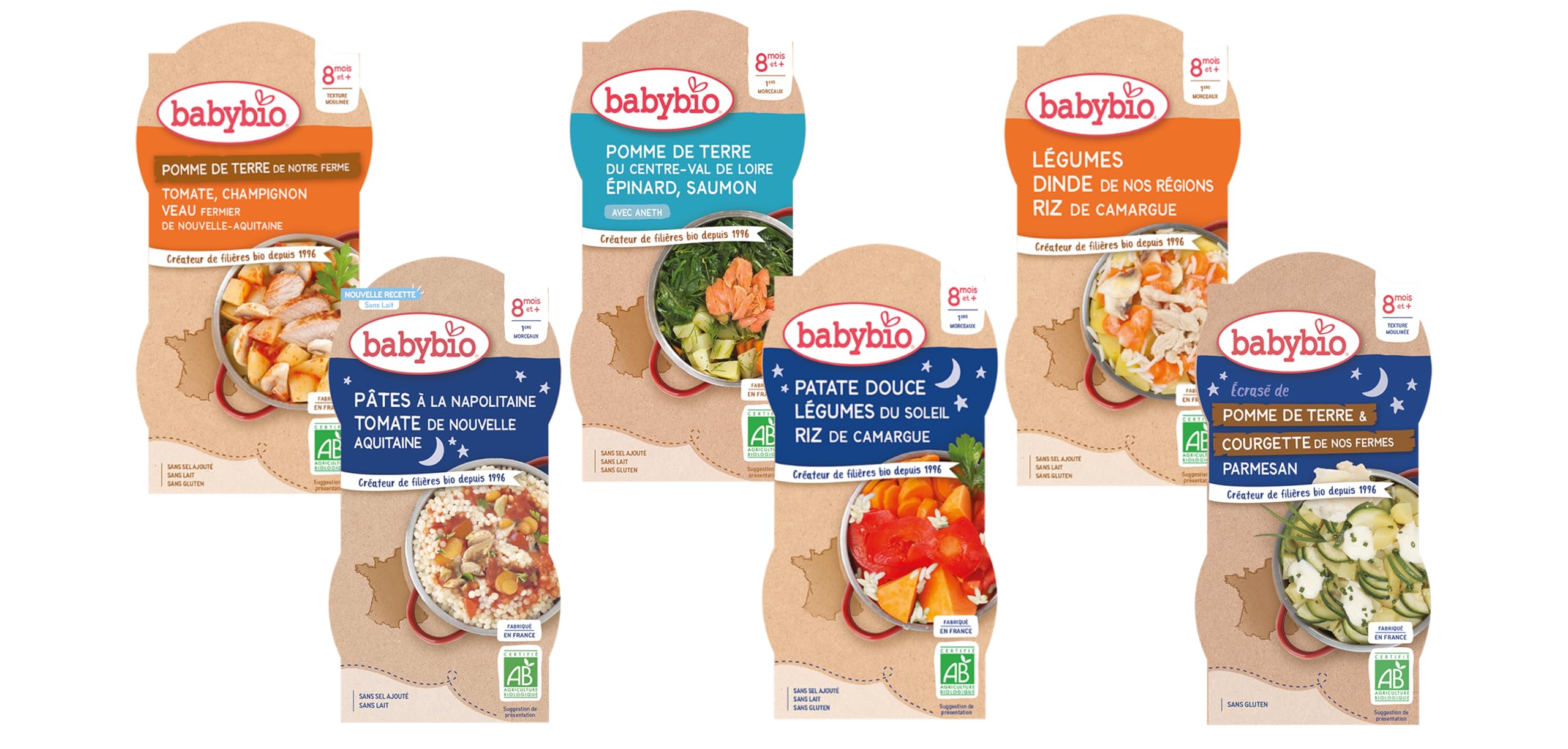 BABYBIO - 12 petits plats pour bébé - Repas midi et soir - Dès 8 Mois - 6 recettes - BIO - 12 x 200g