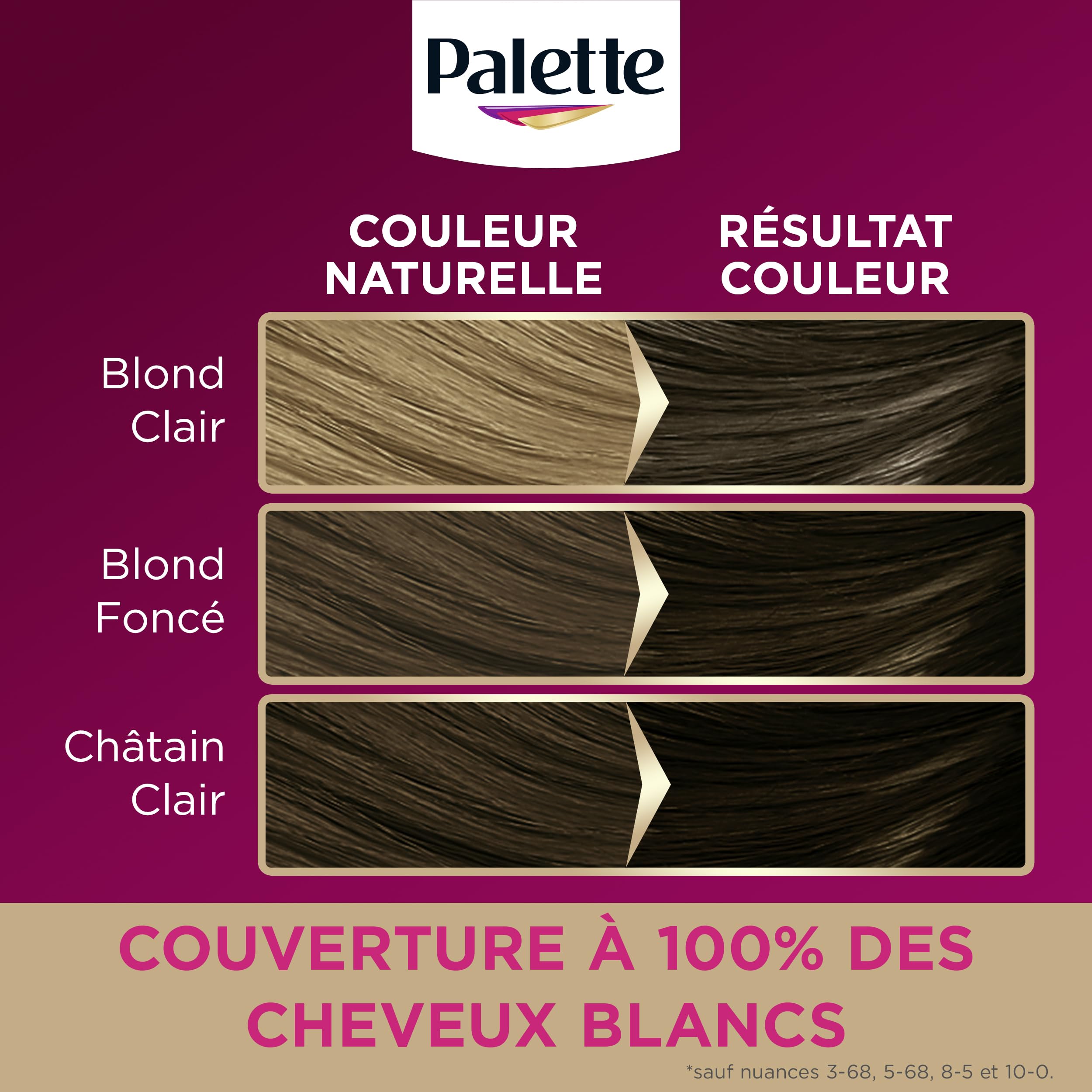 Palette, coloration permanente creme soin, couverture 100% cheveux blancs, couleur longue duree jusqu’a la prochaine coloration, 8.7 (7.7) blond terracotta
