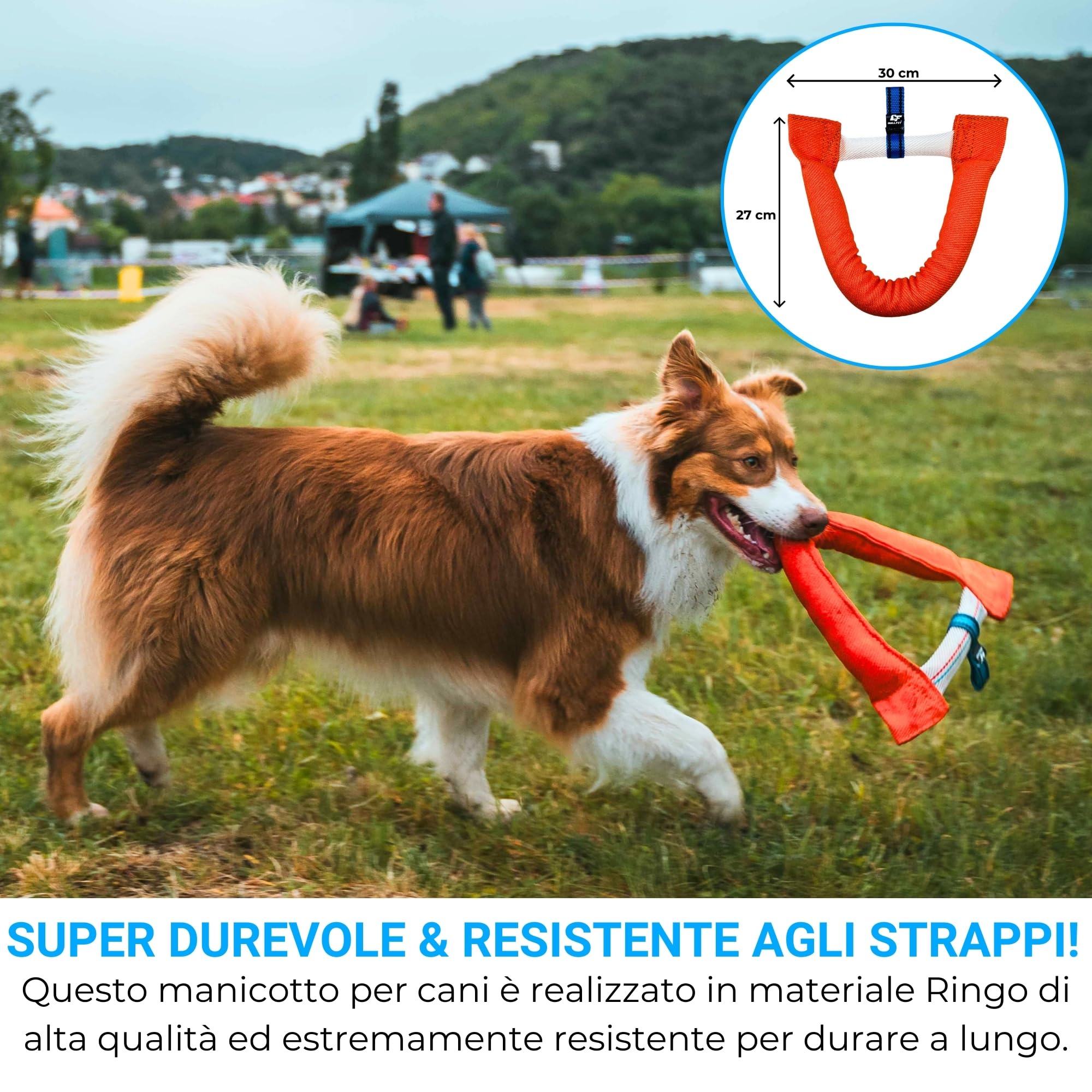 Bull Fit Manicotto per Cani a Ferro di Cavallo 30 cm, Salsicciotto Molto Robusto per I'addestramento dei Cani, per il Tiro alla Fune e per i Giochi di Tiro alla Fune, Verde
