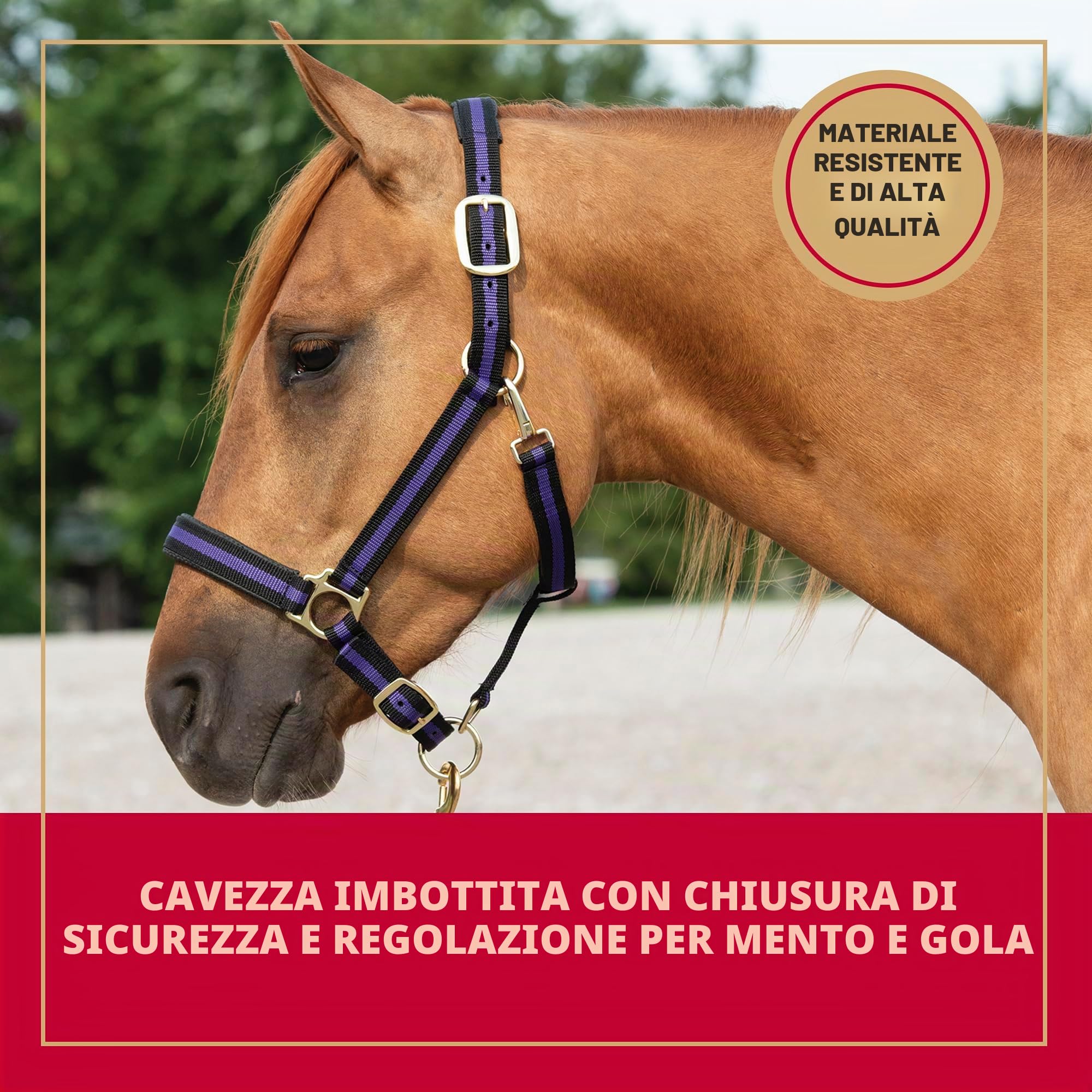 Weaver Leather Capezza a scatto regolabile per mento e gola, imbottita, 2,5 cm, altezza media a cavallo o anno: nero