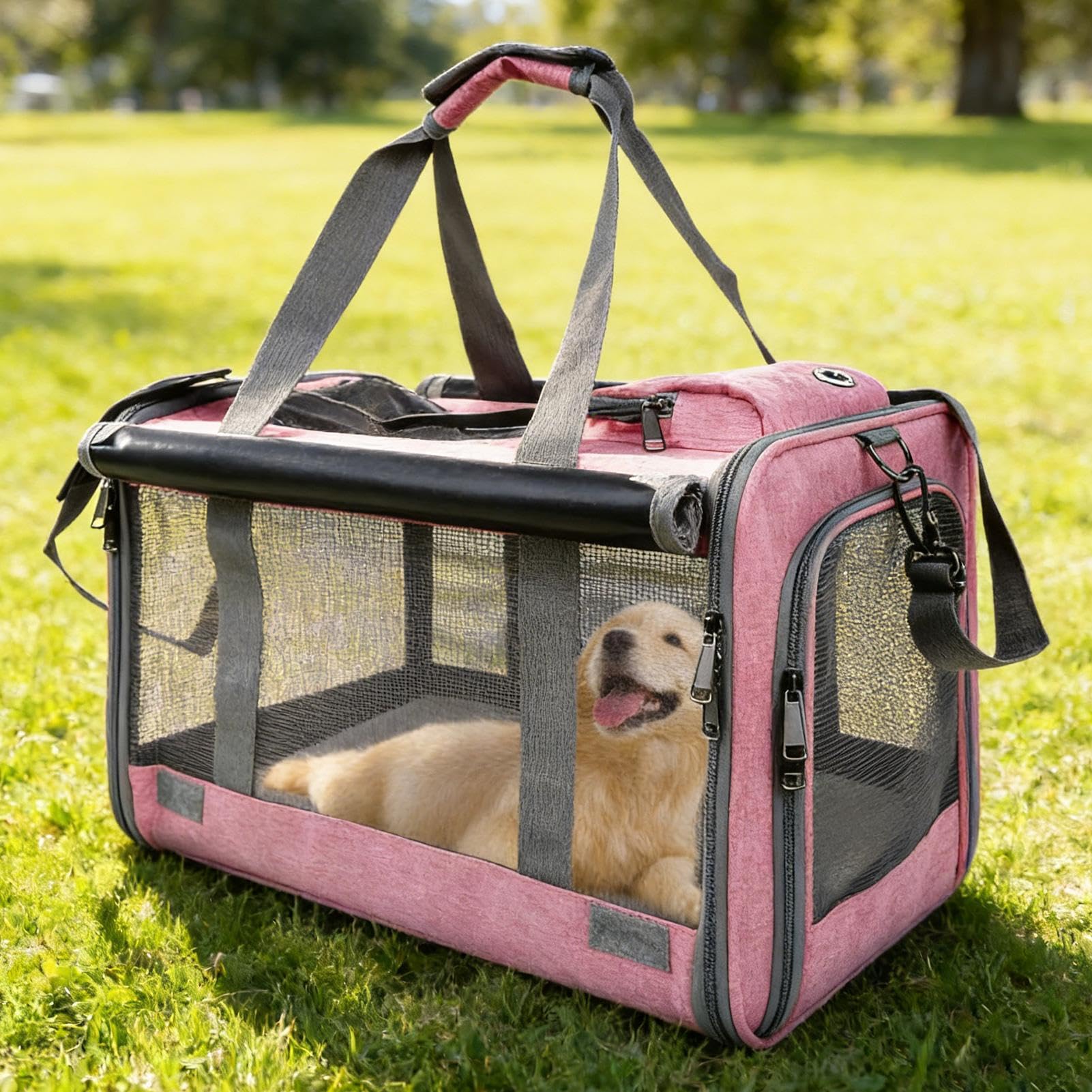 Trasportino per Gatti Borsa da Viaggio Traspirante Portatile Fino a 9 kg | Trasportino per Clinica Veterinaria, Aereo, Auto, Campeggio, Avventure all'Aria Aperta, Moto