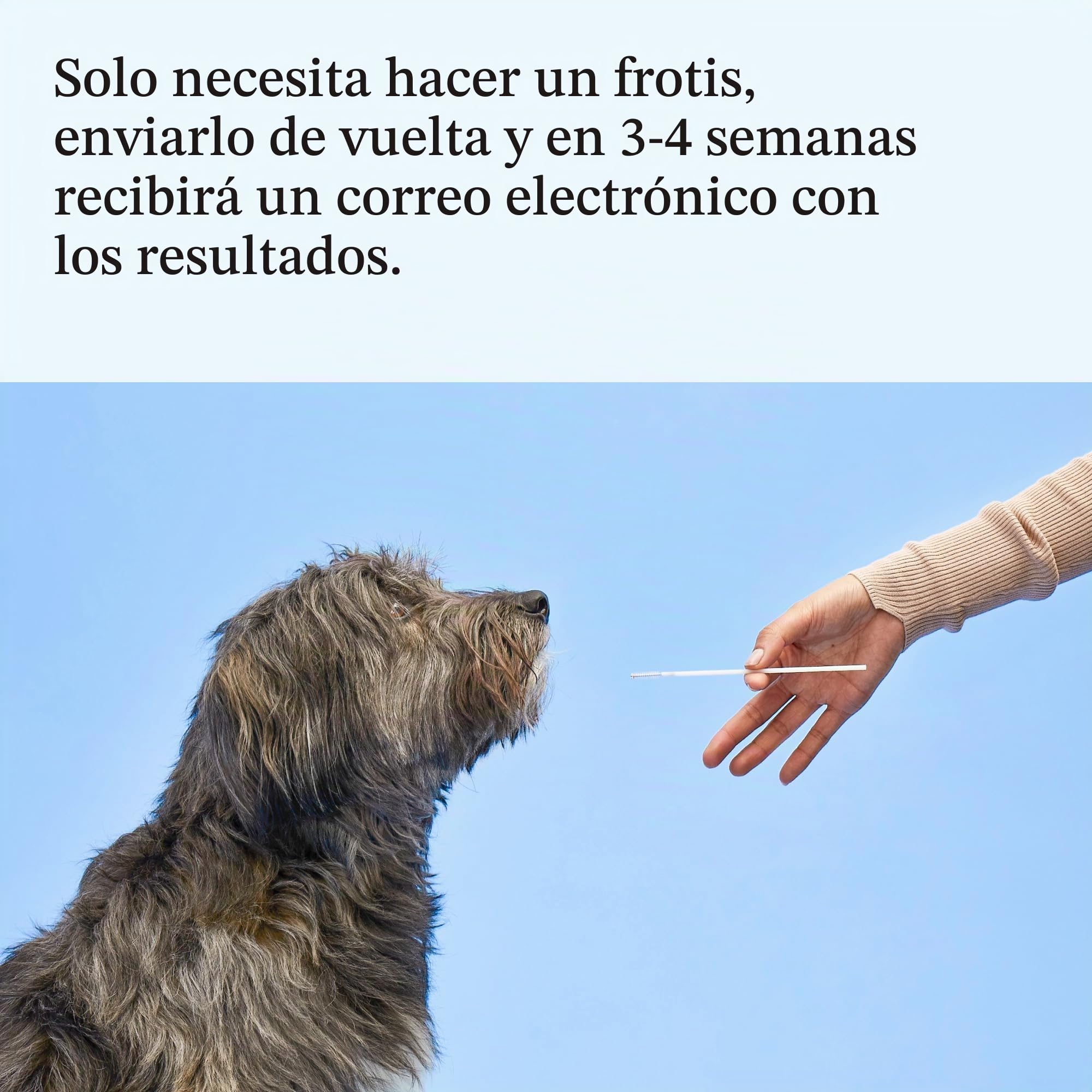 Wisdom Panel Esencial – Prueba de ADN para Perros ancestrales, Razas, propiedades y Pruebas de Salud