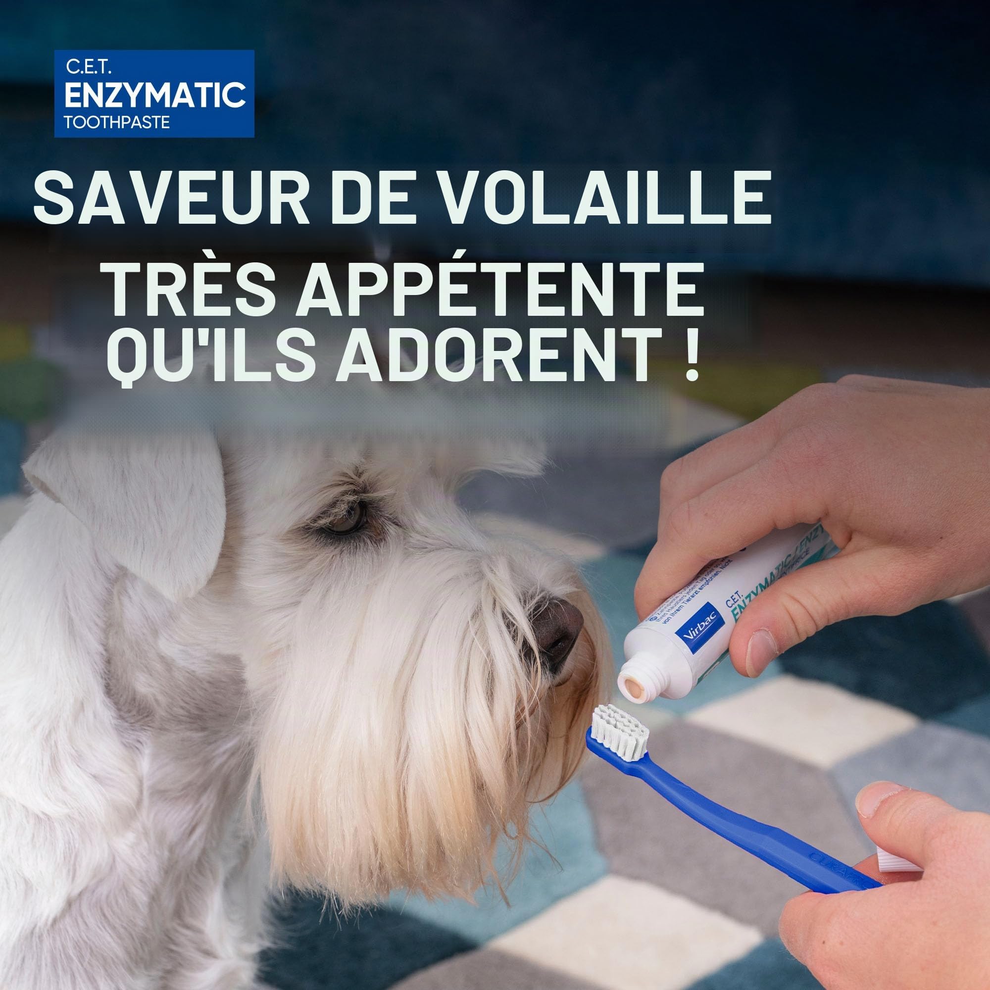 Virbac C.E.T. Dentifrice Enzymatique , Blanc/Bleu 70.9 G (Lot De 1)