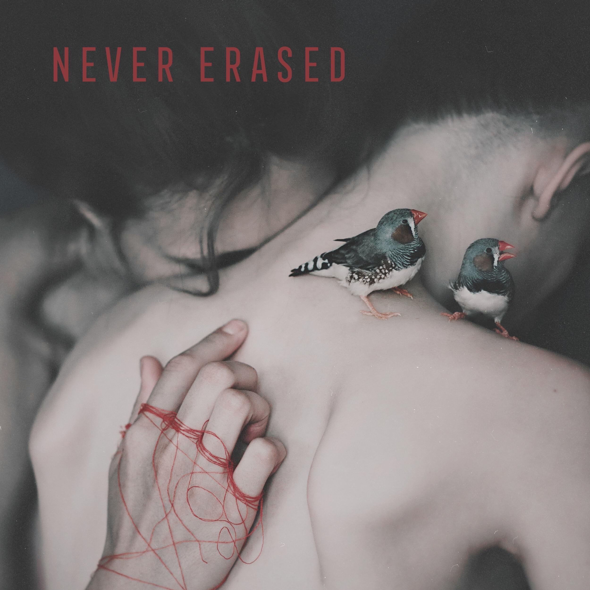 Never Erased [VINYL]