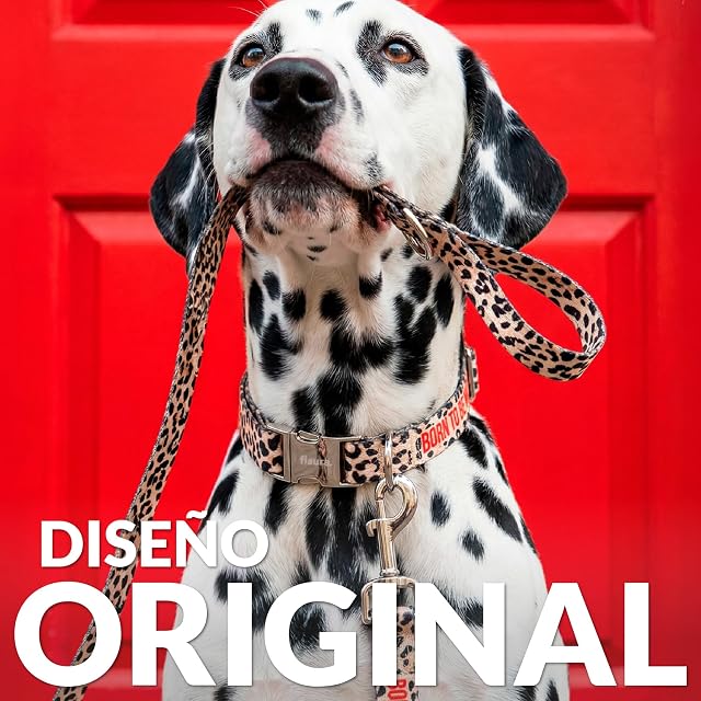 Foto 2 de 7 de Fisura - Conjunto de Collar y Correa para Perros Grandes con Mensaje “Born to be Wild”. Juego de Collar…
