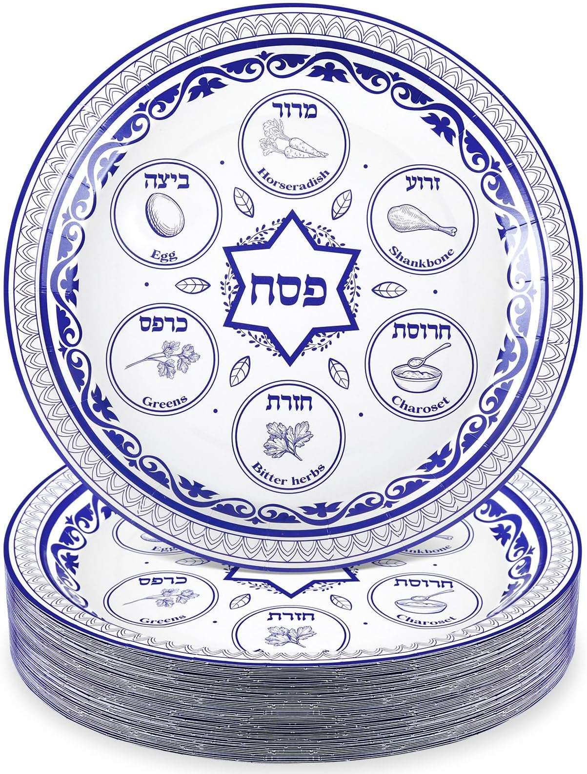 60 Pcs Passover Seder Plates 9" Paper Seder Plates for Pesach Tableware Dinner Party Supplies Passover Decorations (Renaissance Style)