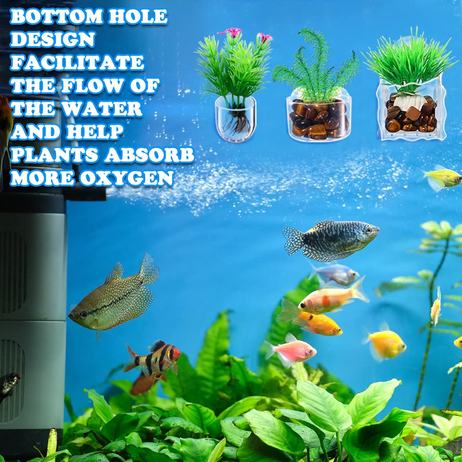 Potchen 20 Pcs Aquatic Plant Cups with Hole Transparent Acrylic Plant Pot with Suction Cups Aquarium Aquatic Planter Aquarium Holder Fish Tank Aquascape Decoration, 3 Shapes