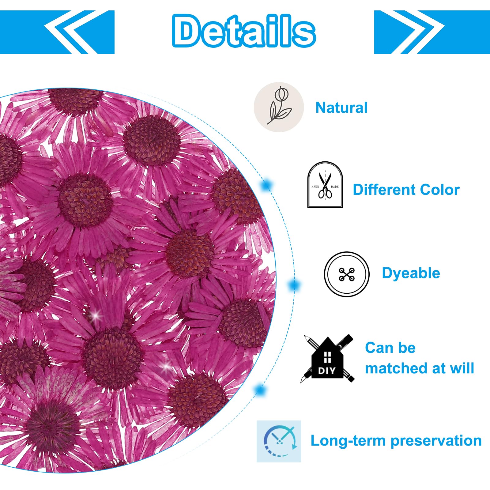 PATIKIL Dried Pressed Flower - Image 3