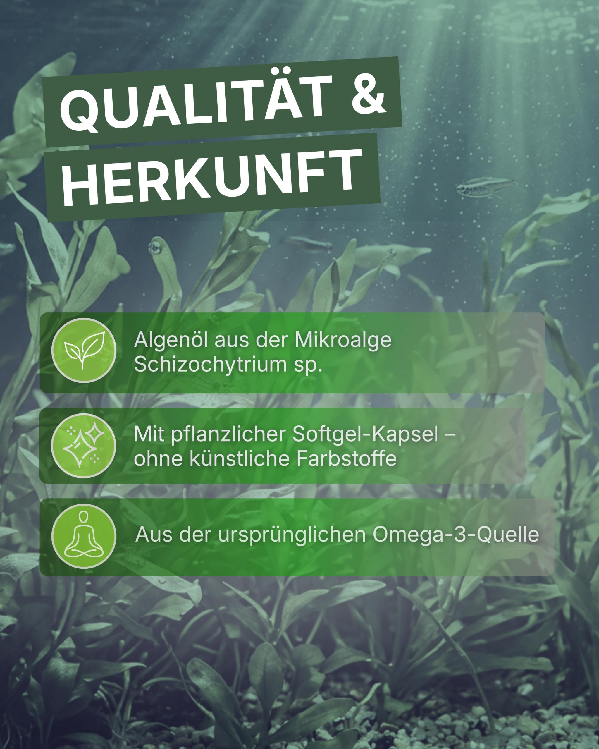 Omega 3 Kapseln aus Algenöl I 120 Kapseln I Hochdosiert mit 1.400 mg pro Portion I Veganes Omega 3 I Reich an DHA & EPA Fettsäuren I Natürliche Nahrungsergänzung für 120 Tage