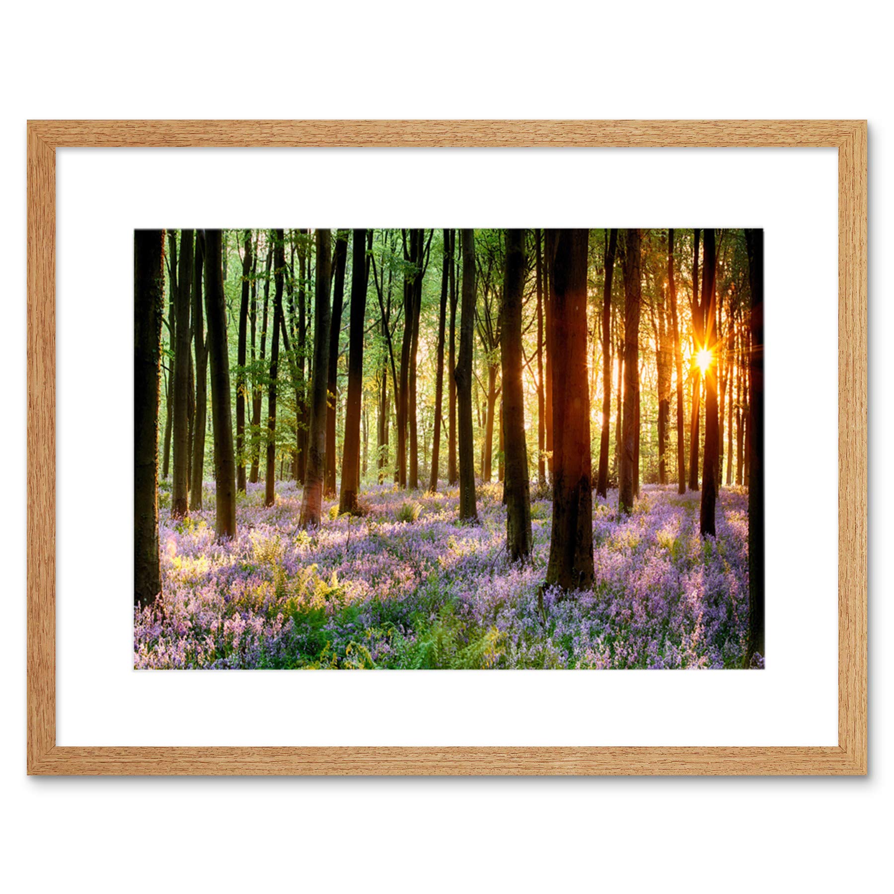 Wee Blue Coo Bluebell Wood Sunrise Tree Art Framed Wall Art Print