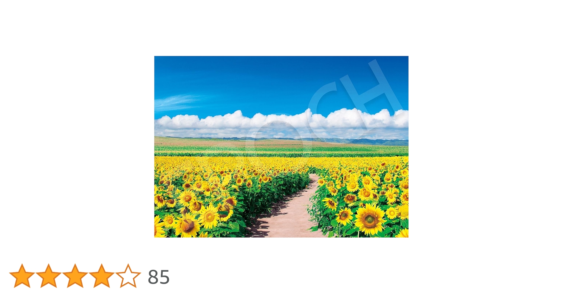 81C8woB4rUL.jpg_BO30,255,255,