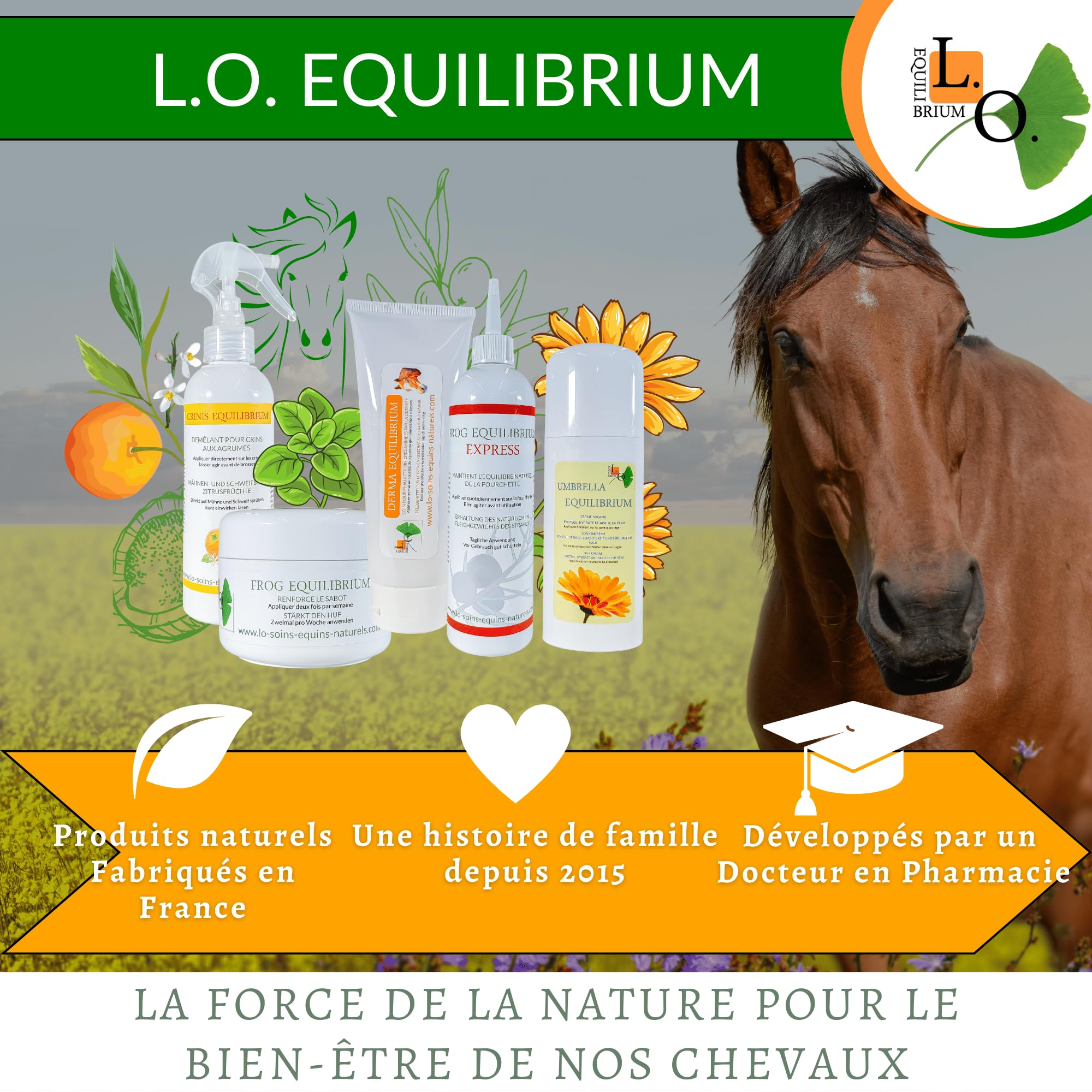 Derma Equilibrium - 500 mL - Soin Naturel de la dermite chez Le Cheval