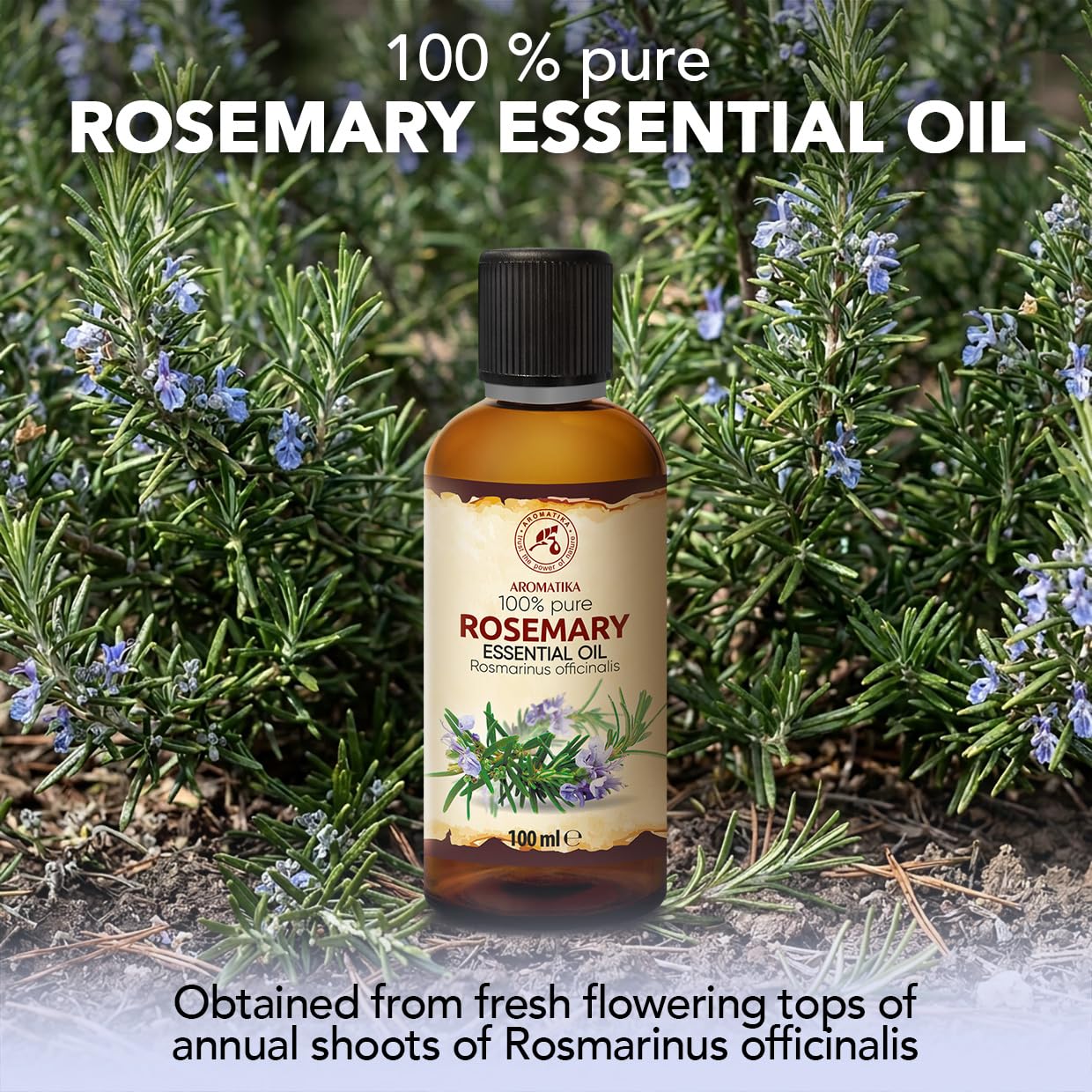 Olejek Eteryczny Rozmarynowy 100 ml - Rosmarinus officinalis - Olejek Aromatyczny do Dyfuzora - Aromaterapia - Świece Zapachowe - Mydła - Długotrwały aromat - Odświeżanie Powietrza