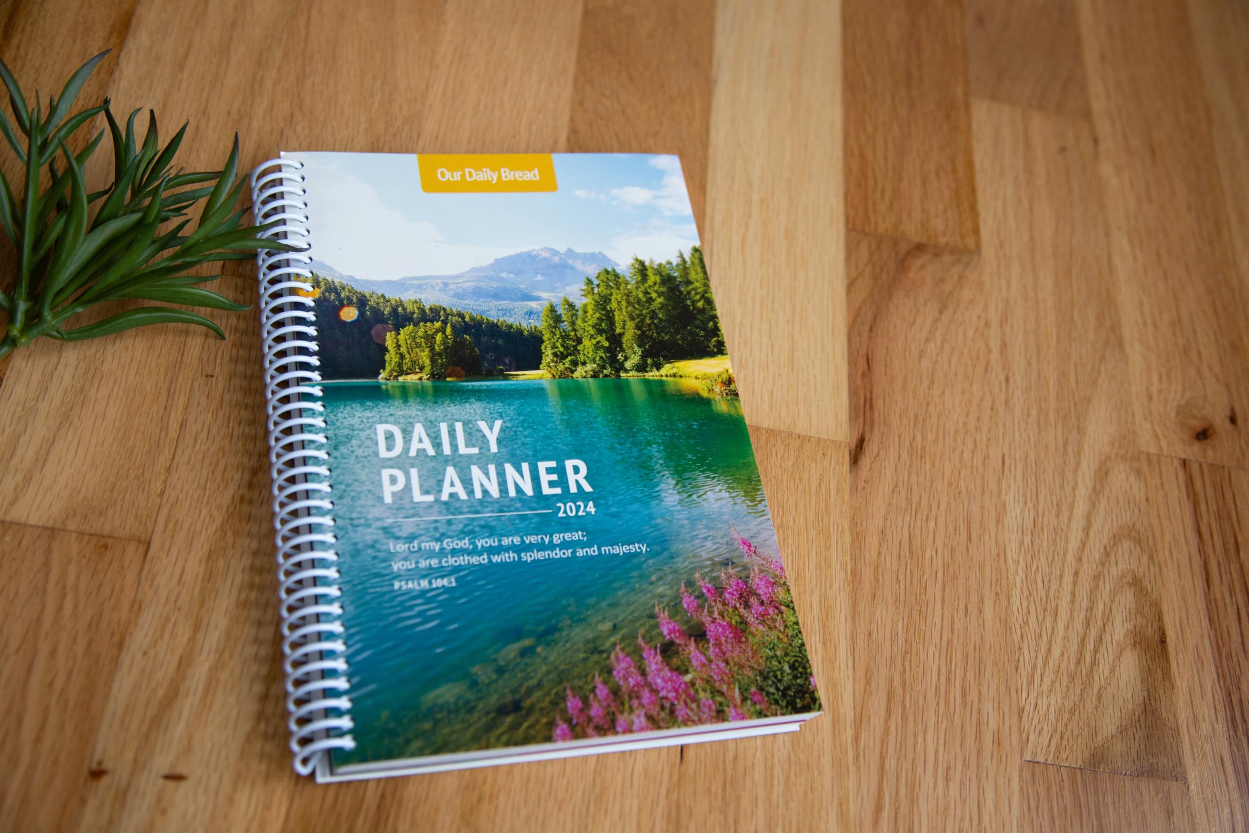 Our Daily Bread 2024 Agenda giornaliera