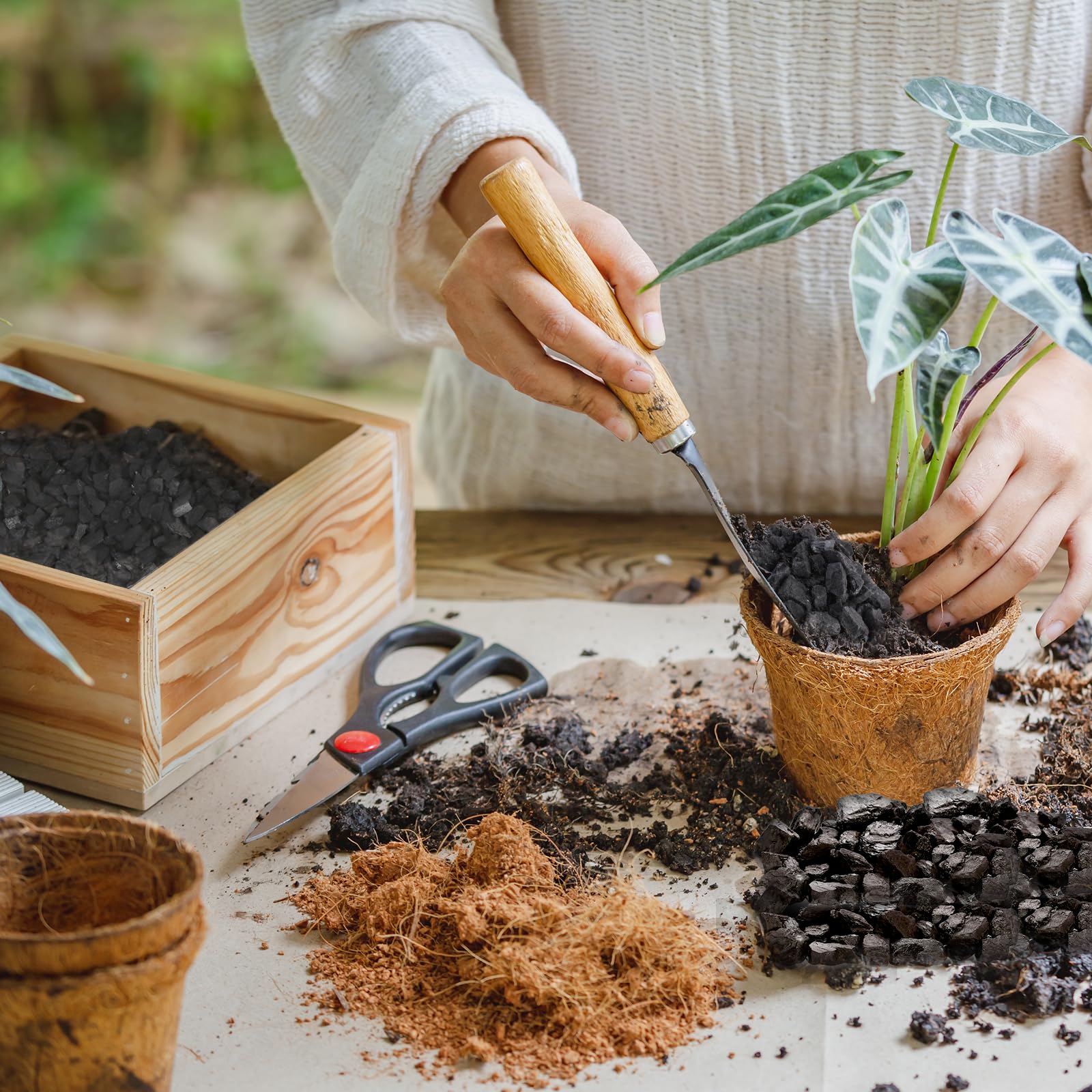 Amazon | Omitgoter 園芸用炭 4クォート 植物用 活性炭テラリウム用品