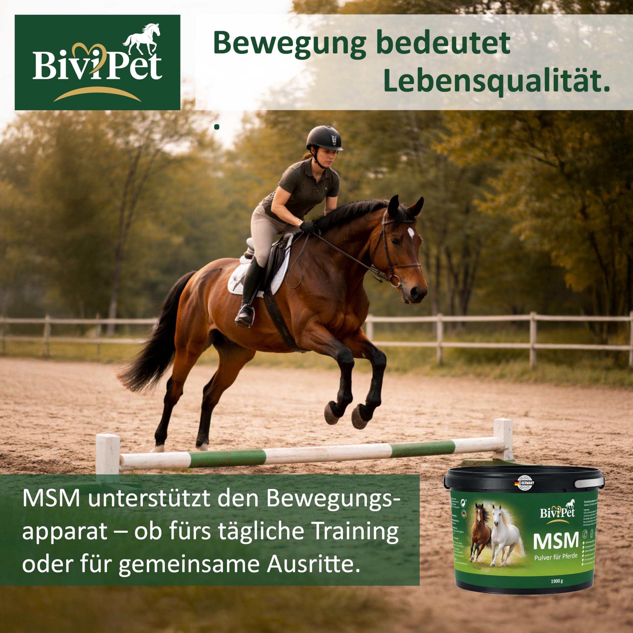 MSM Pulver für Pferde – 1,9 kg | 100% reines MSM ohne Zusätze | Für Gelenke, Beweglichkeit, Sehnen & Hufe | Eimer mit Henkel inkl. Dosierlöffel | Made in Germany