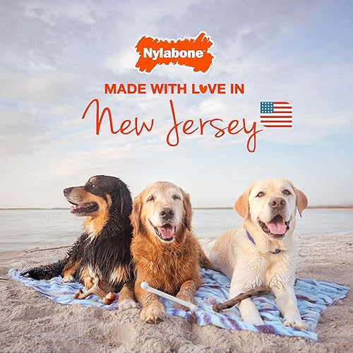 Miniatura 9 de Nylabone Healthy Edibles - Masticables naturales para cachorros, sabor cordero y manzana de larga duración, golosinas para cachorros, XL/Souper (1