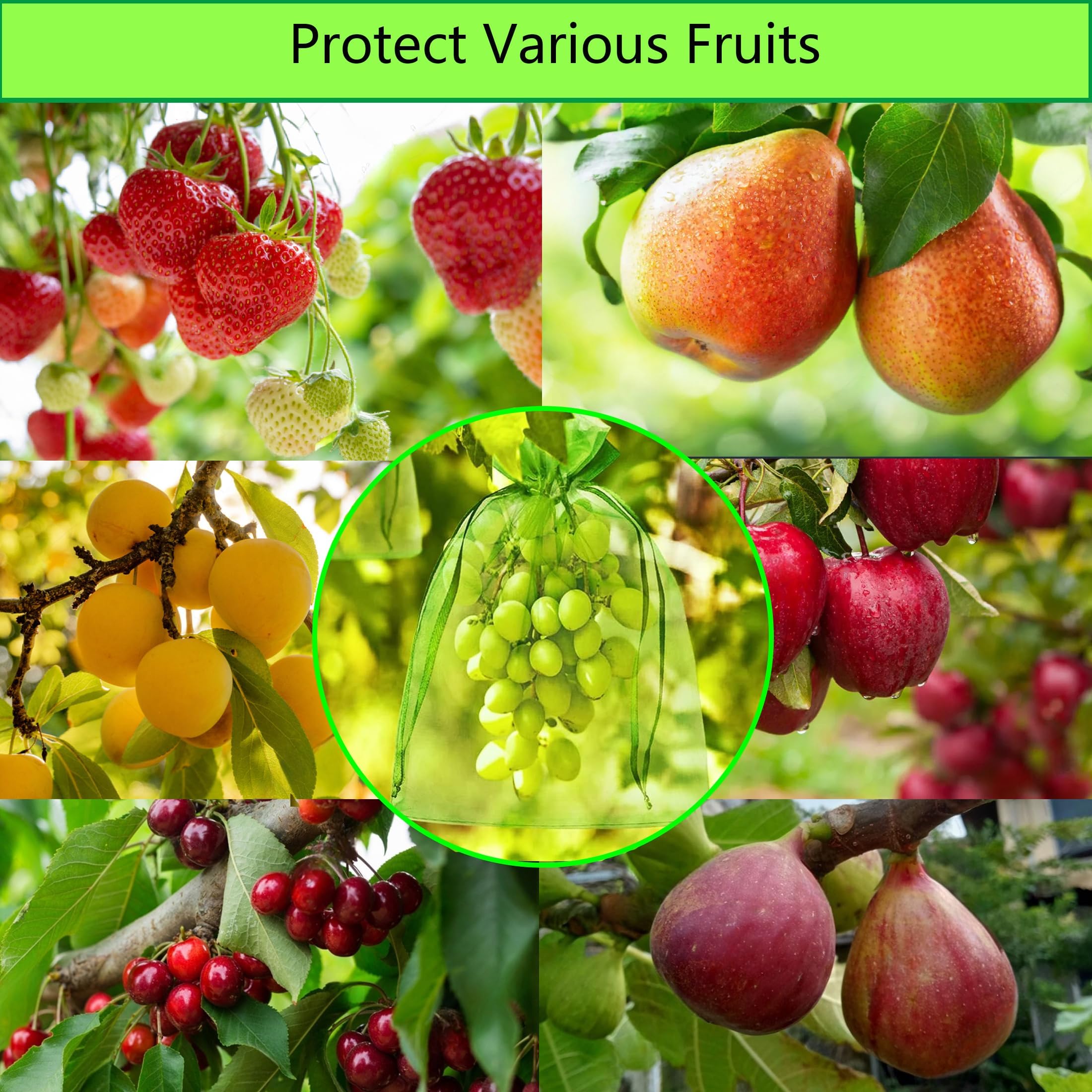 Sac Protection Fruits 40x30cm 50 pièces Sachet Protection Raisin Respirant Cordon Serrage