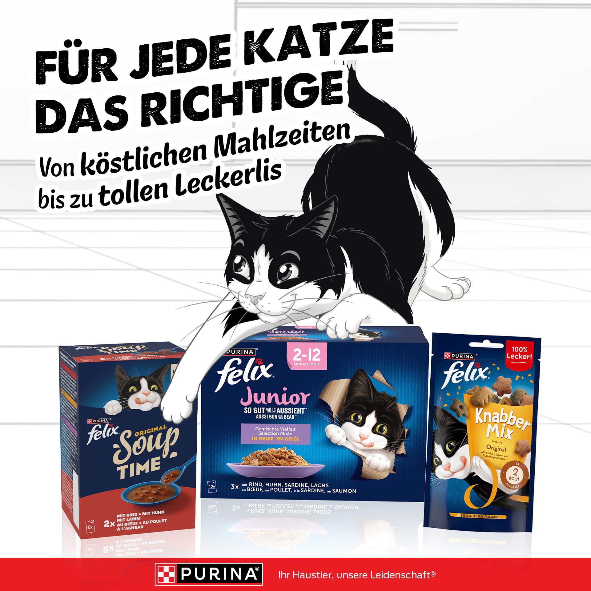 FELIX So gut wie es aussieht Junior Nassfutter für Katzen Gemischte Vielfalt, 12 praktische Portionsbeutel, zarte Stücke in Gelee, 4 leckere Sorten, 100% vollständige Ernährung