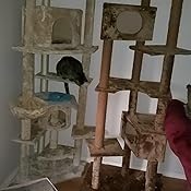 Amazon Com Petco Brand Animaze 6 Level Brown Cat Tree 76 H 31 In Pet Supplies Amazon Com Petco Brand Animaze 6 Level Brown Cat Tree 76 H 31 In Pet Supplies