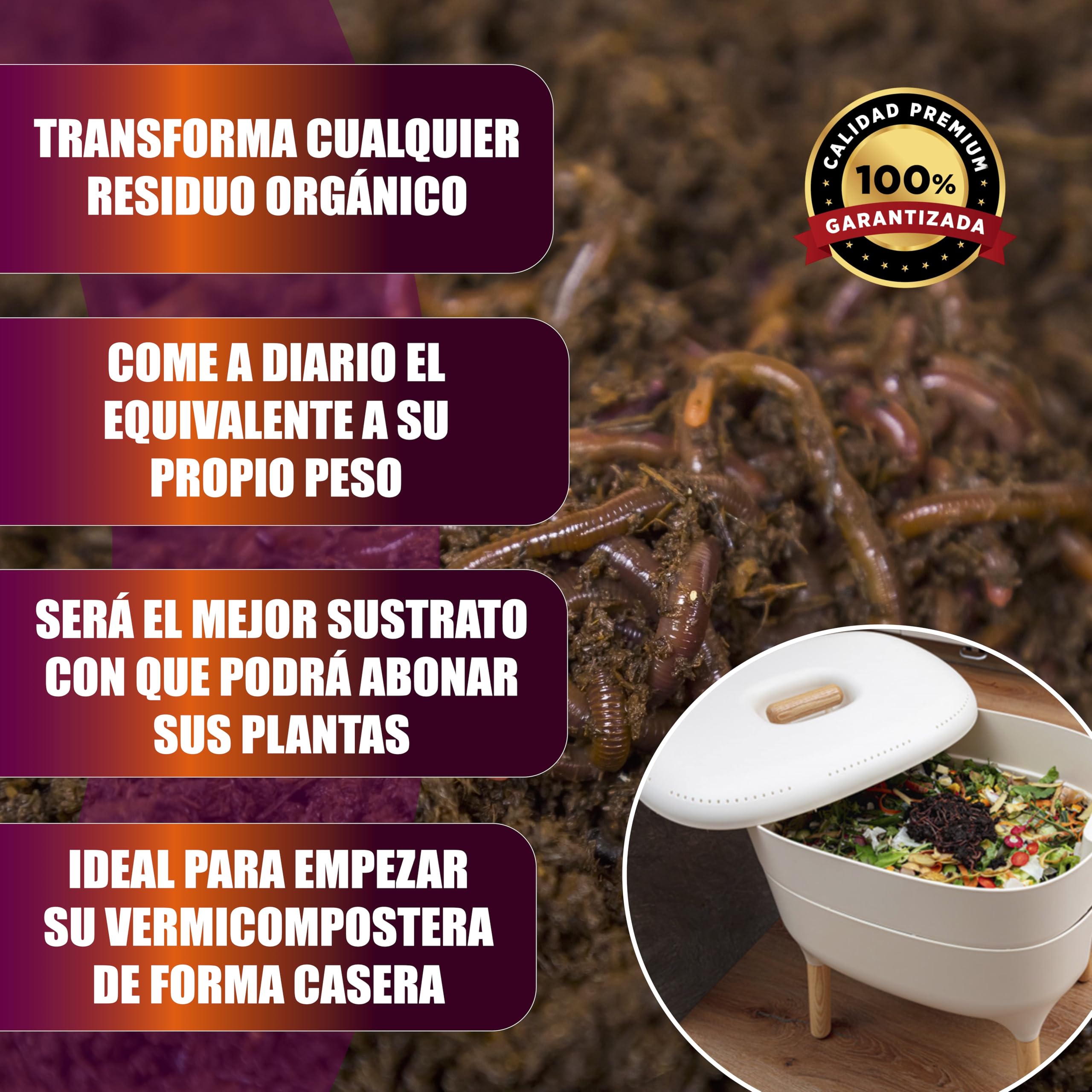 Lombriz Roja Californiana (Eisenia Foetida), 200 Unds - Seleccionadas a Mano - Formatos de 100, 200, 500 y 1000 Unds - Envíos de Lunes a Jueves - Servicio Frío 24H - Envase Compostable.