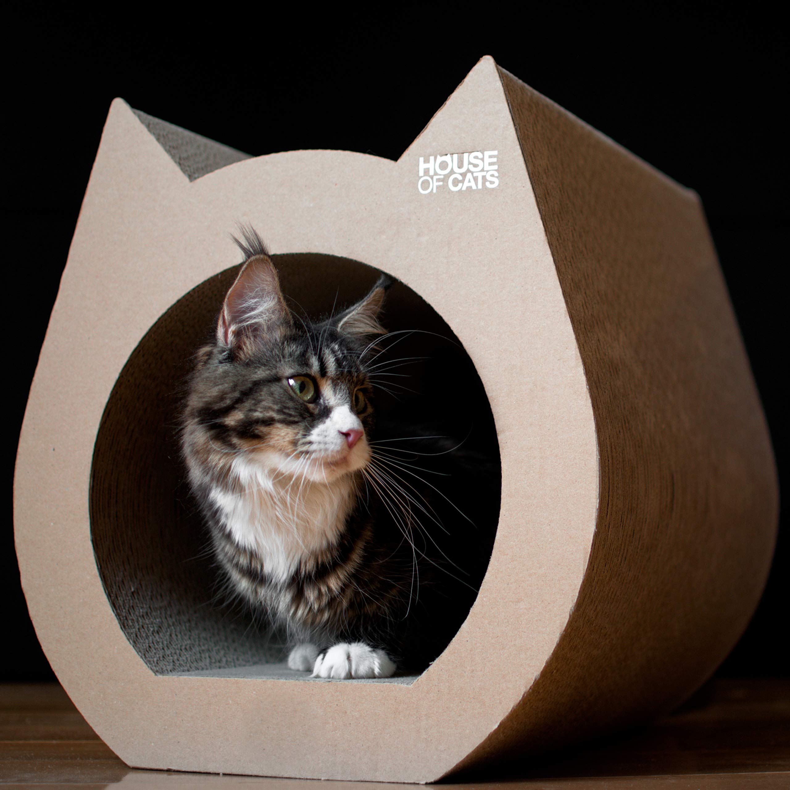 House of Cats - Rascador para Gatos - Rascador para Gatos para Juego y Relajación - Materiales Duraderos y Resistentes - Descanso para tu Gato - Gato Natural - 40x42x42cm