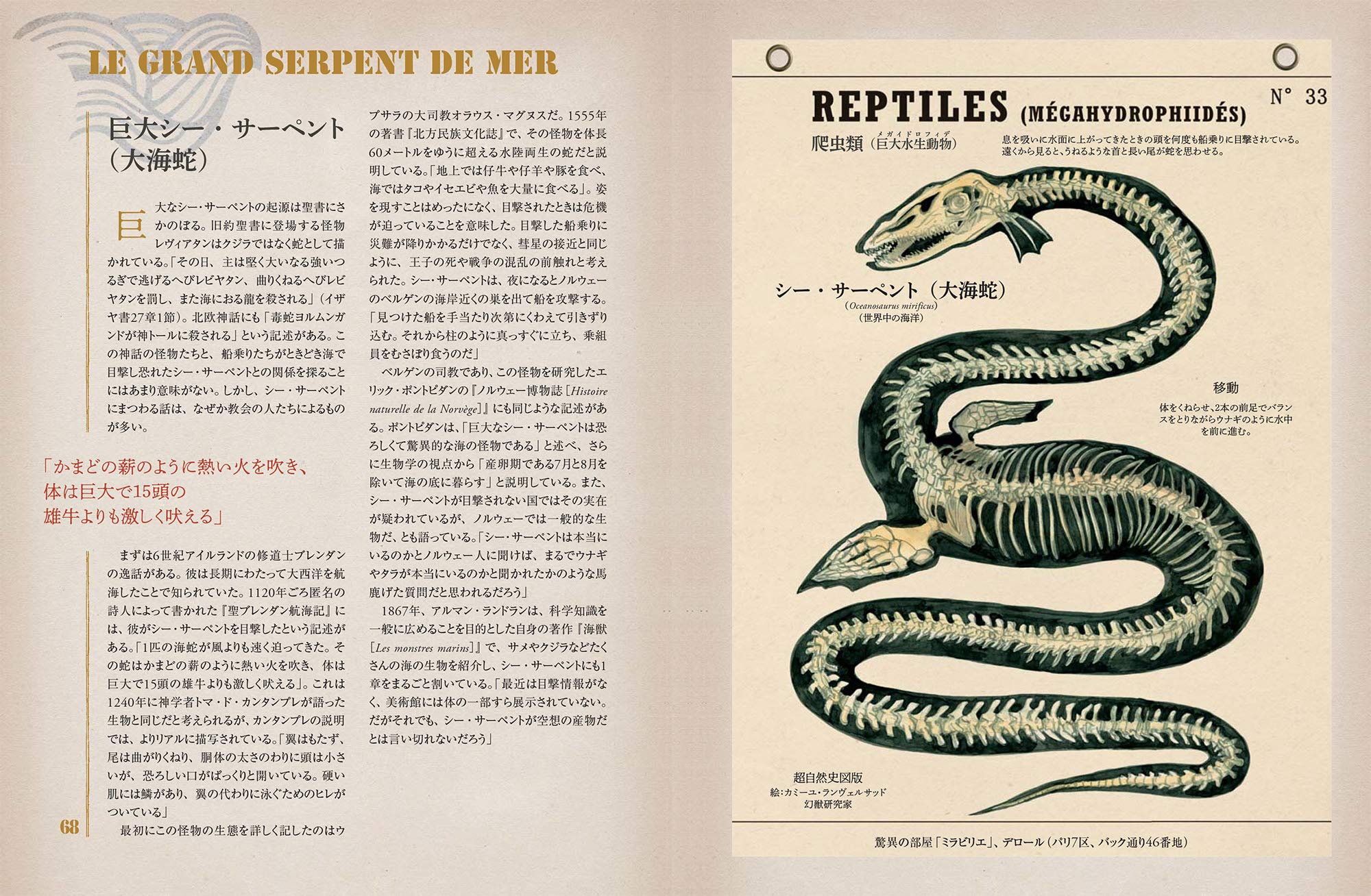 図説 異形の生態 幻想動物組成百科 ジャン バティスト ド パナフィユー 星加 久実 本 通販 Amazon