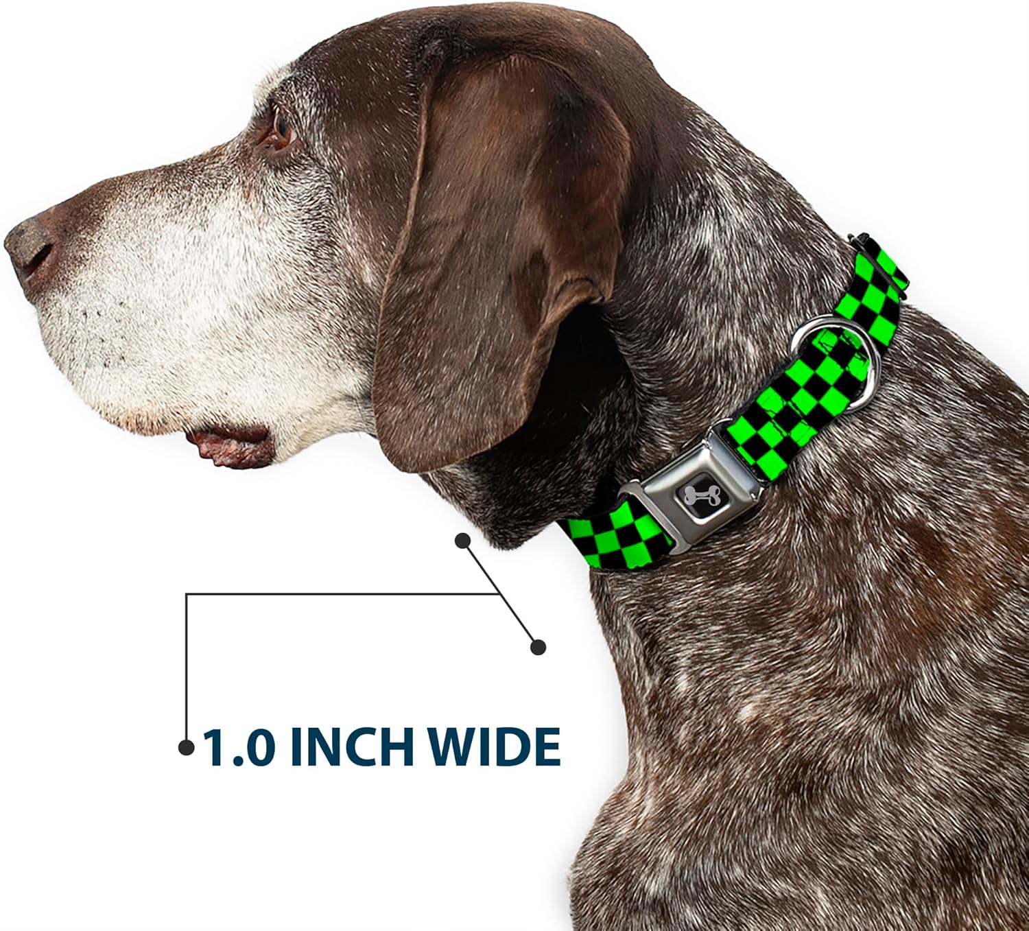 Buckle-Down Checker Black/Neon Green Dog Collar Bone, Medium/11-17"
